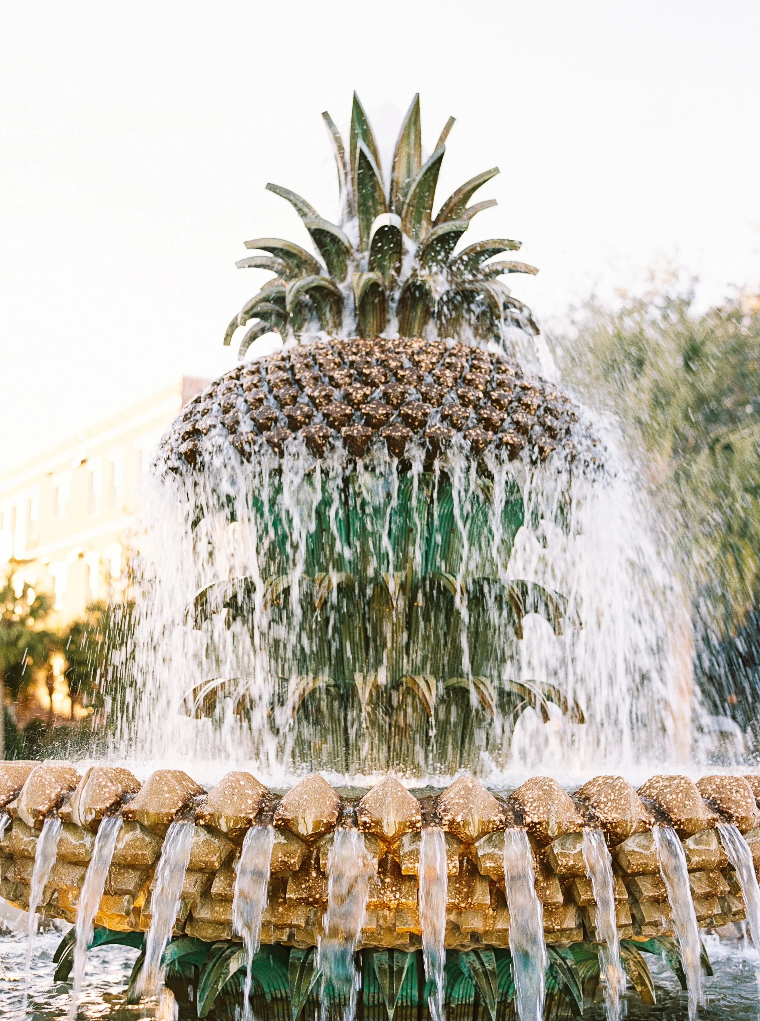 Charleston-SC-RMP-18.jpg
