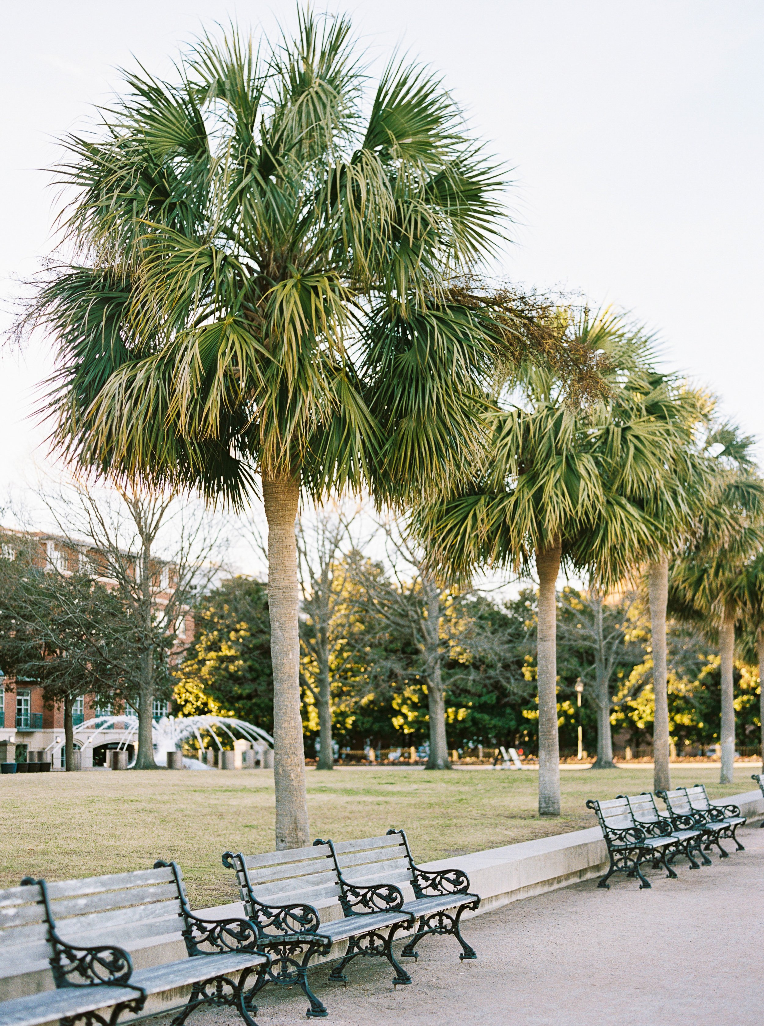 Charleston-SC-RMP-19.jpg