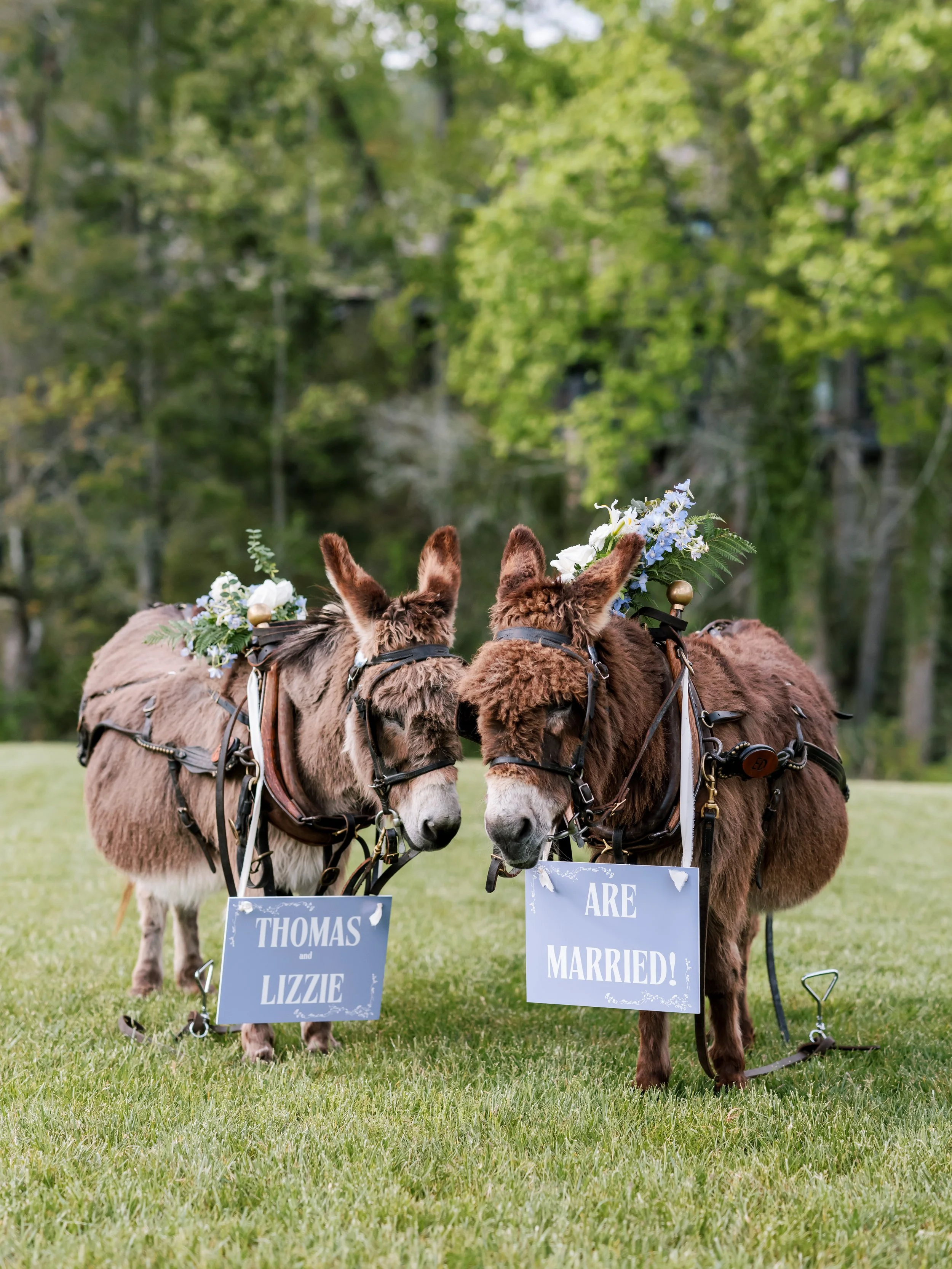 Wedding-56.jpg