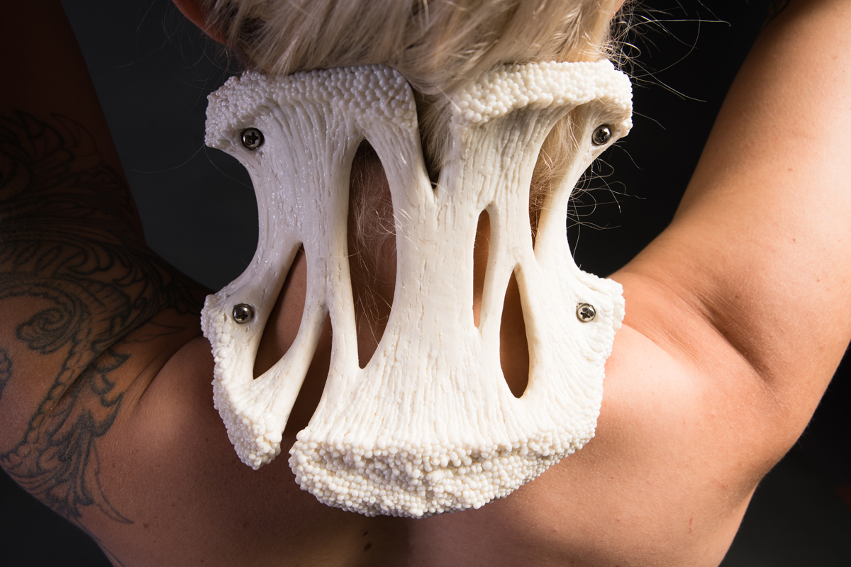 Ligament Collar (detail)