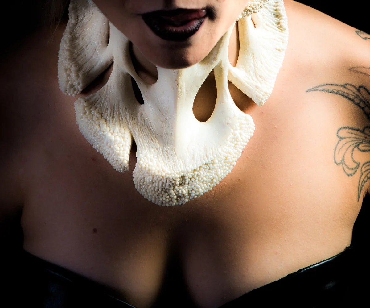 Ligament collar (Detail)