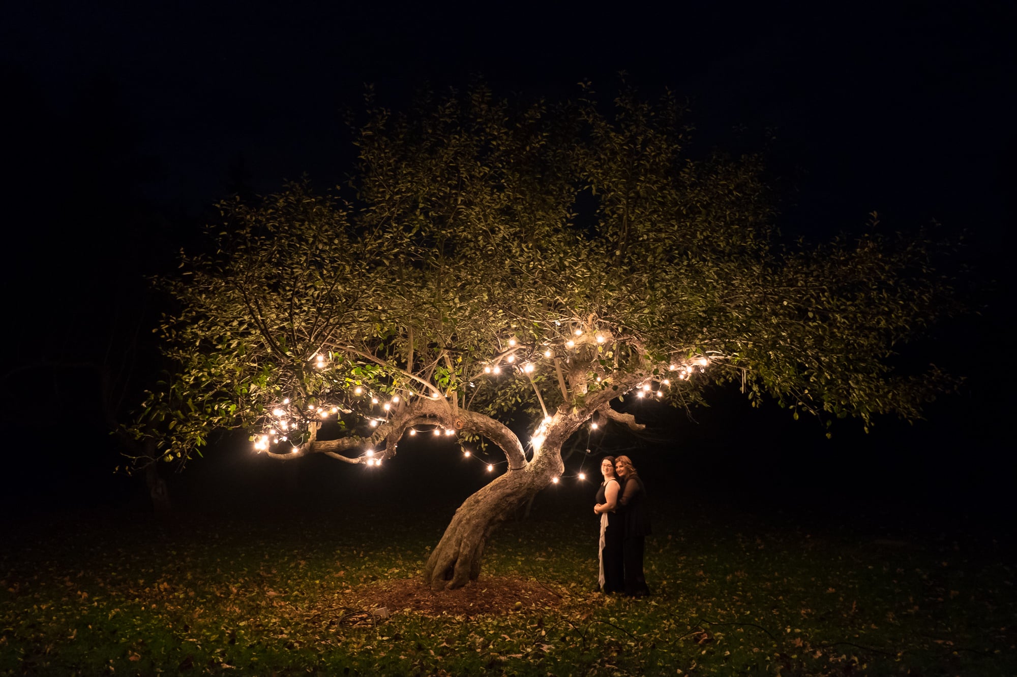  Renee + Senem pose for a nighttime portrait during their wedding reception at Langdon Hall. 