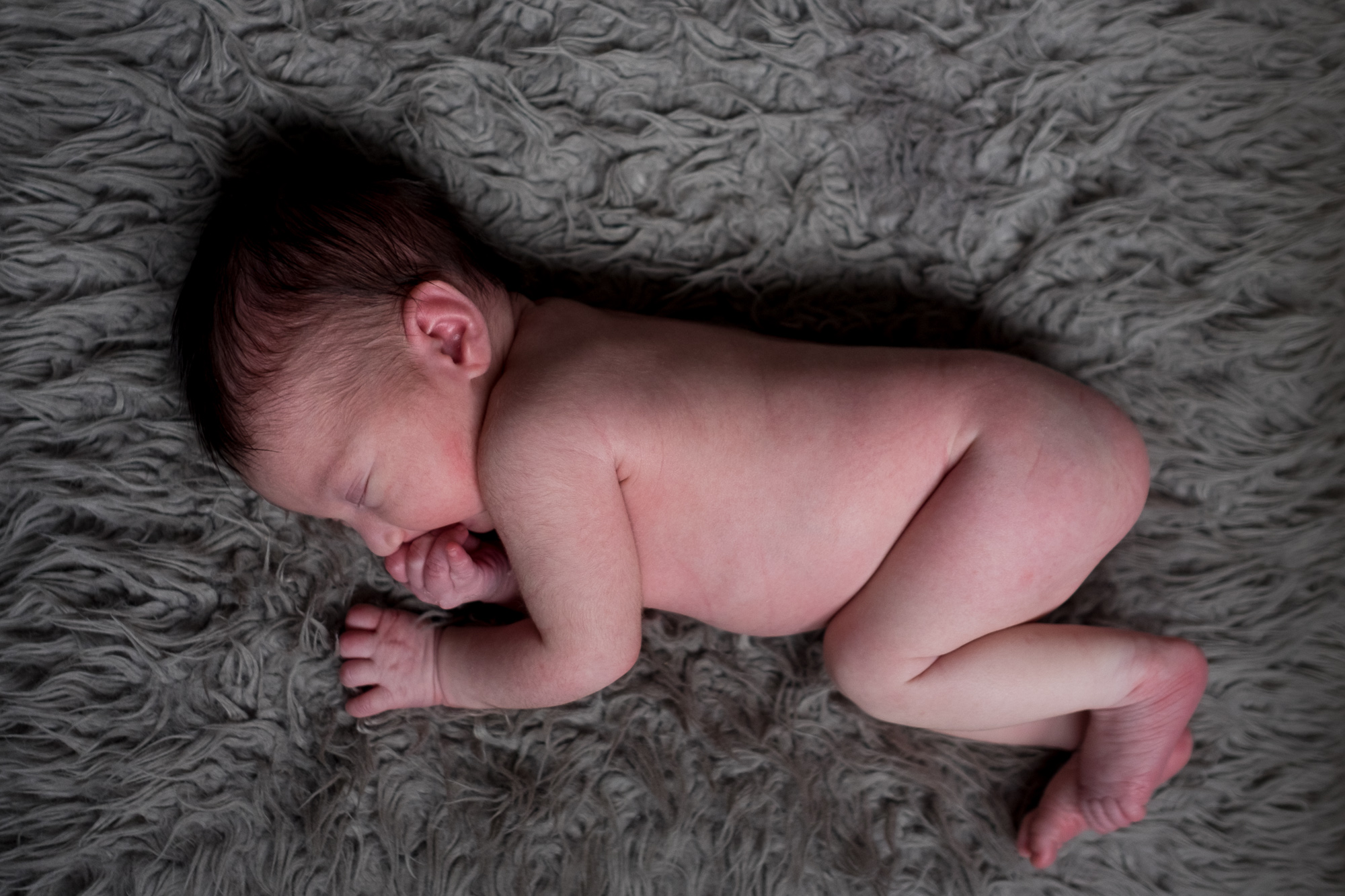 toronto-newborn-photography-005.jpg