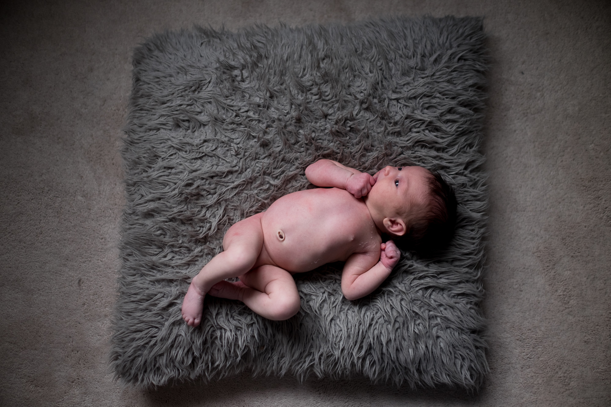toronto-newborn-photography-003.jpg