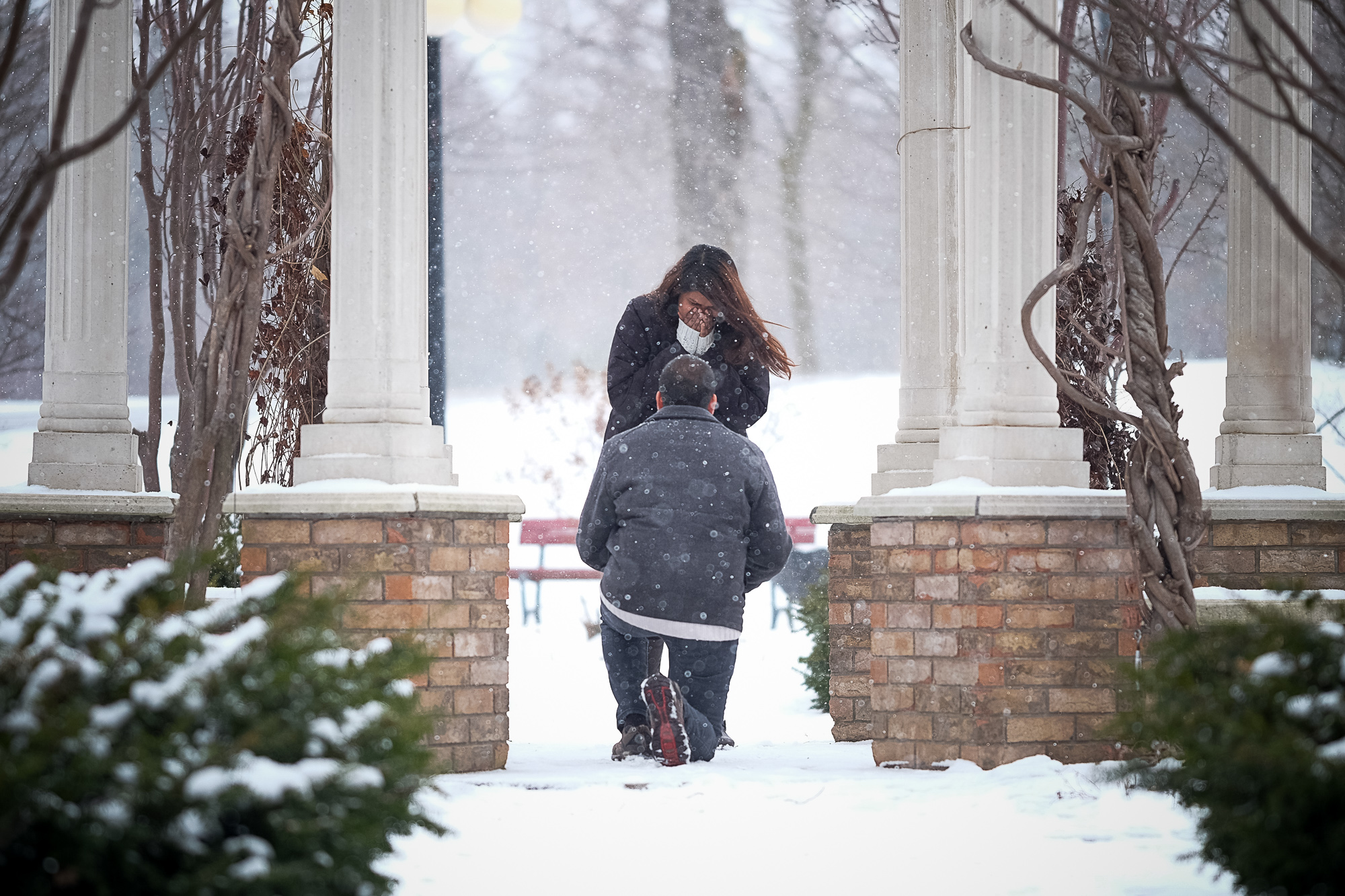  Jay proposes to his girlfriend in Waterloo Park during a winter snowstorm. 