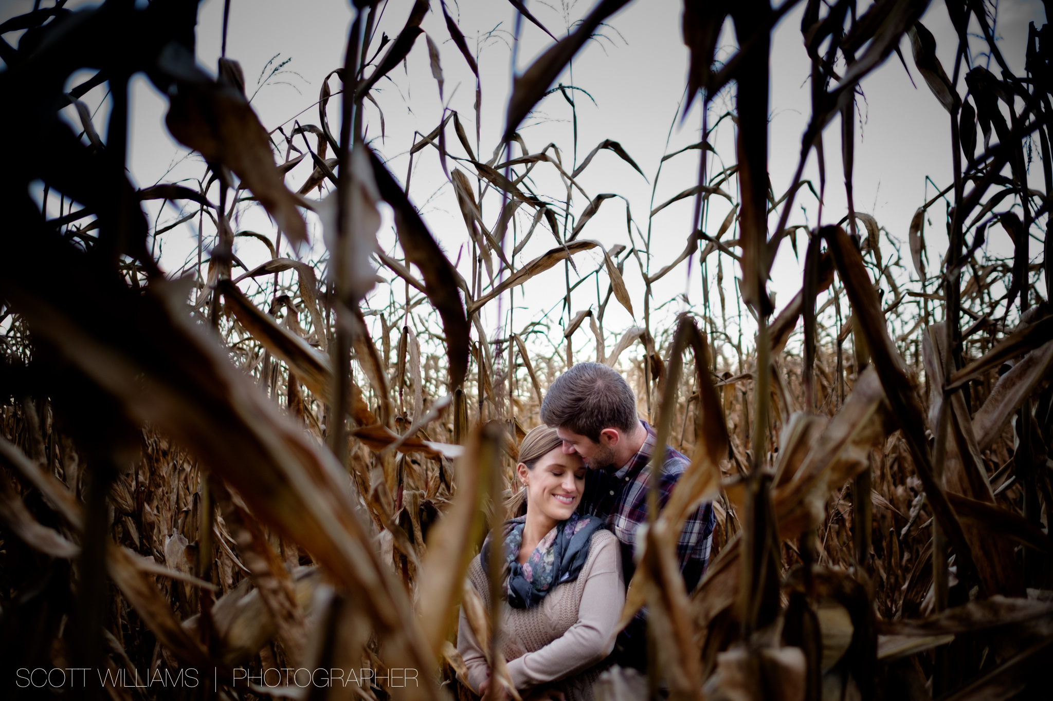 A photograph from Sabrina + Zach's sunset engagement session on a farm in Southwestern Ontario.
