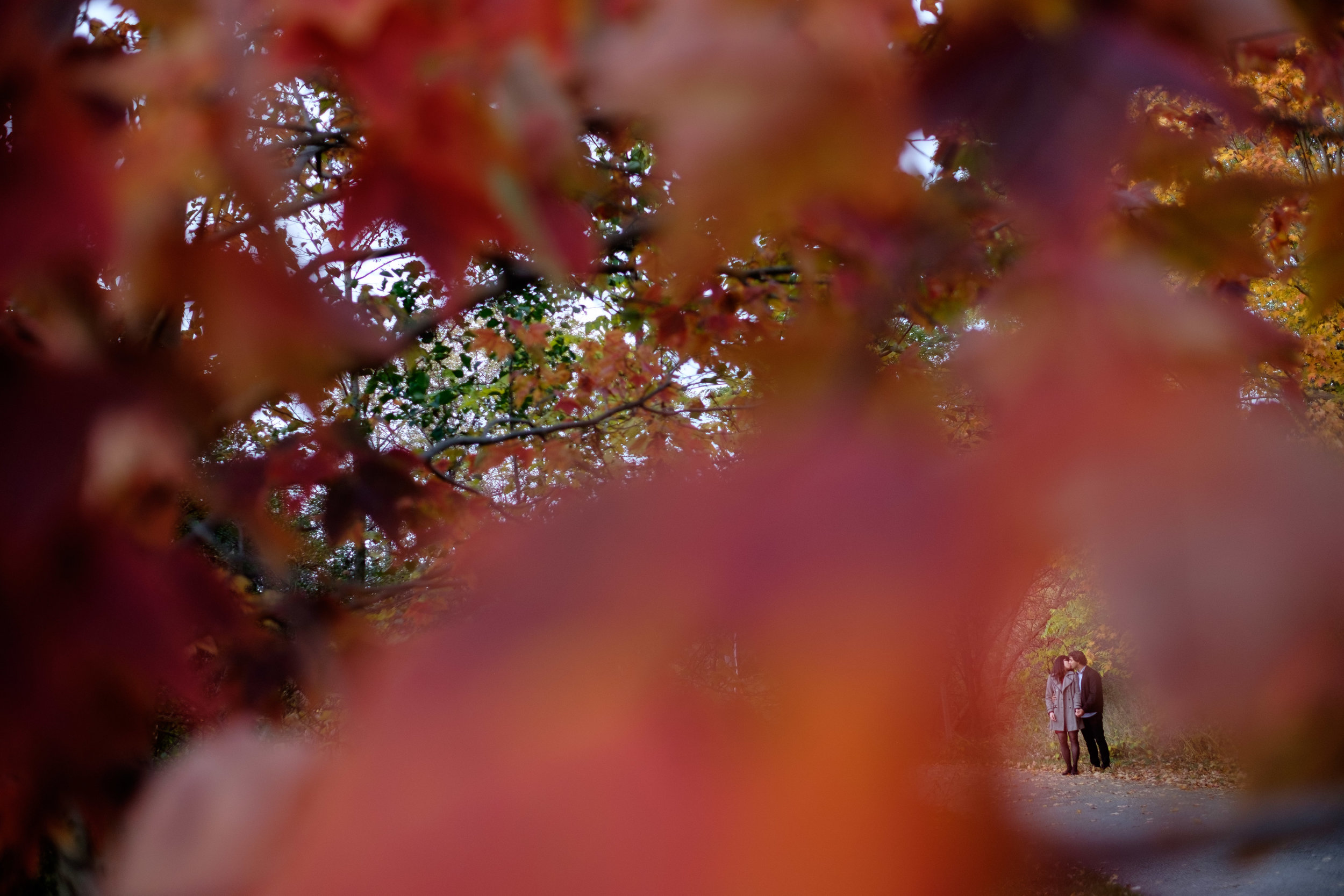  An engagement portrait of Chelsea + Danny from their fall engagement session in one of Toronto's parks. 