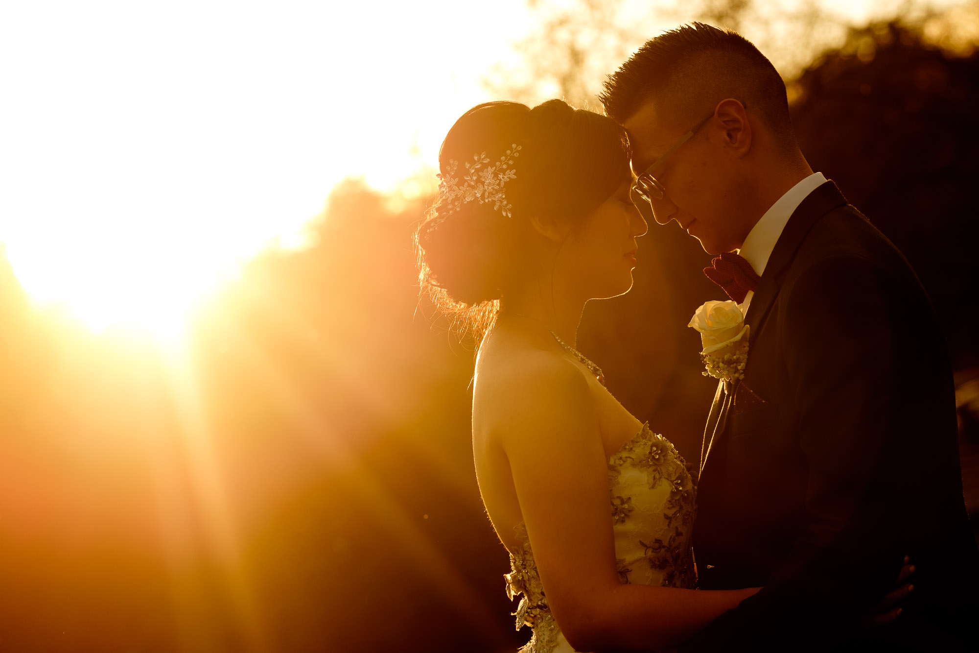  A sunset wedding portrait of Andrea and Chris from their wedding at Madsen's Greenhouse just north of Toronto. 