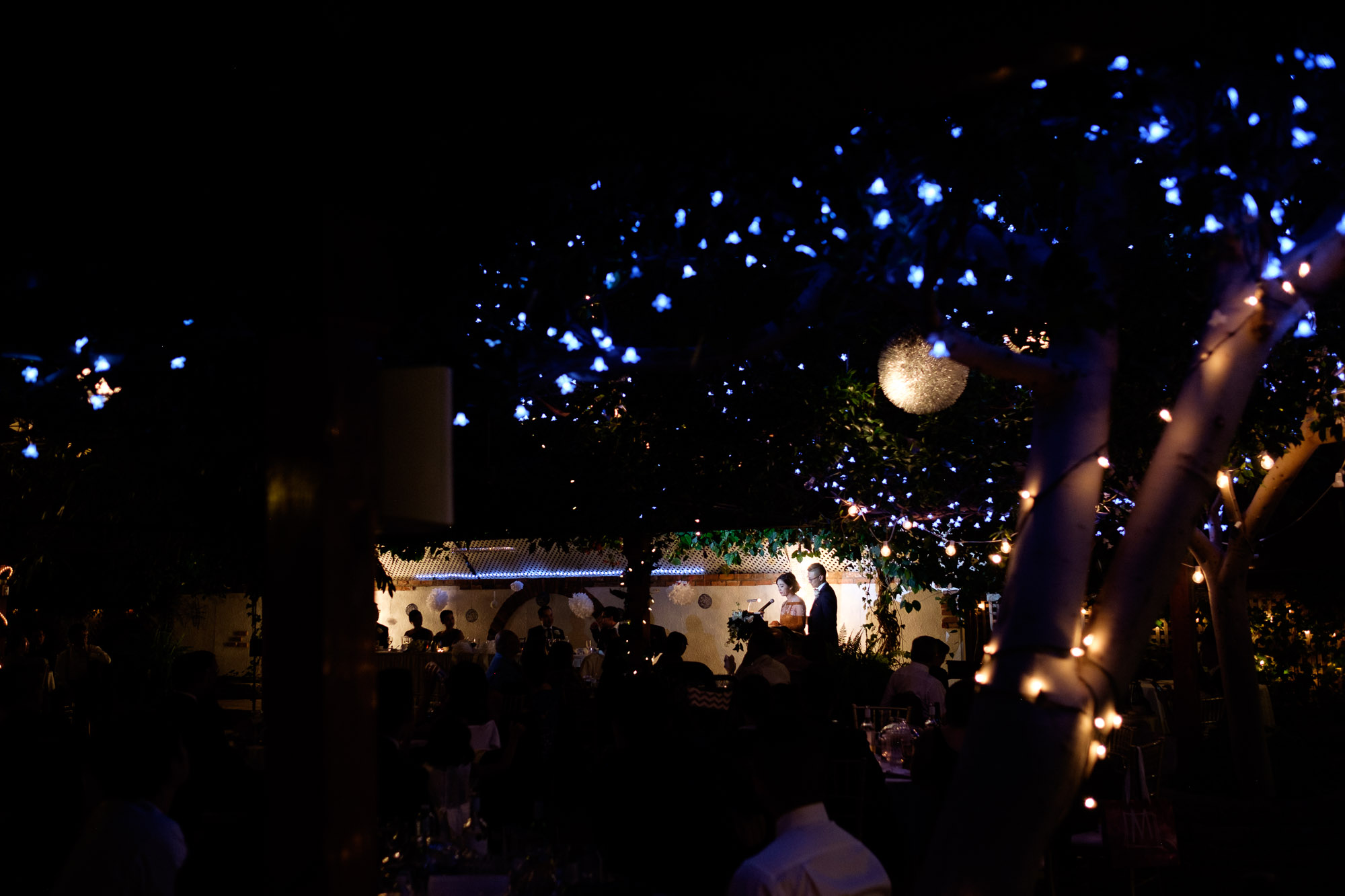 Andrea + Chris give their speech during their wedding reception at Madsen's Greenhouse outside of toronto.