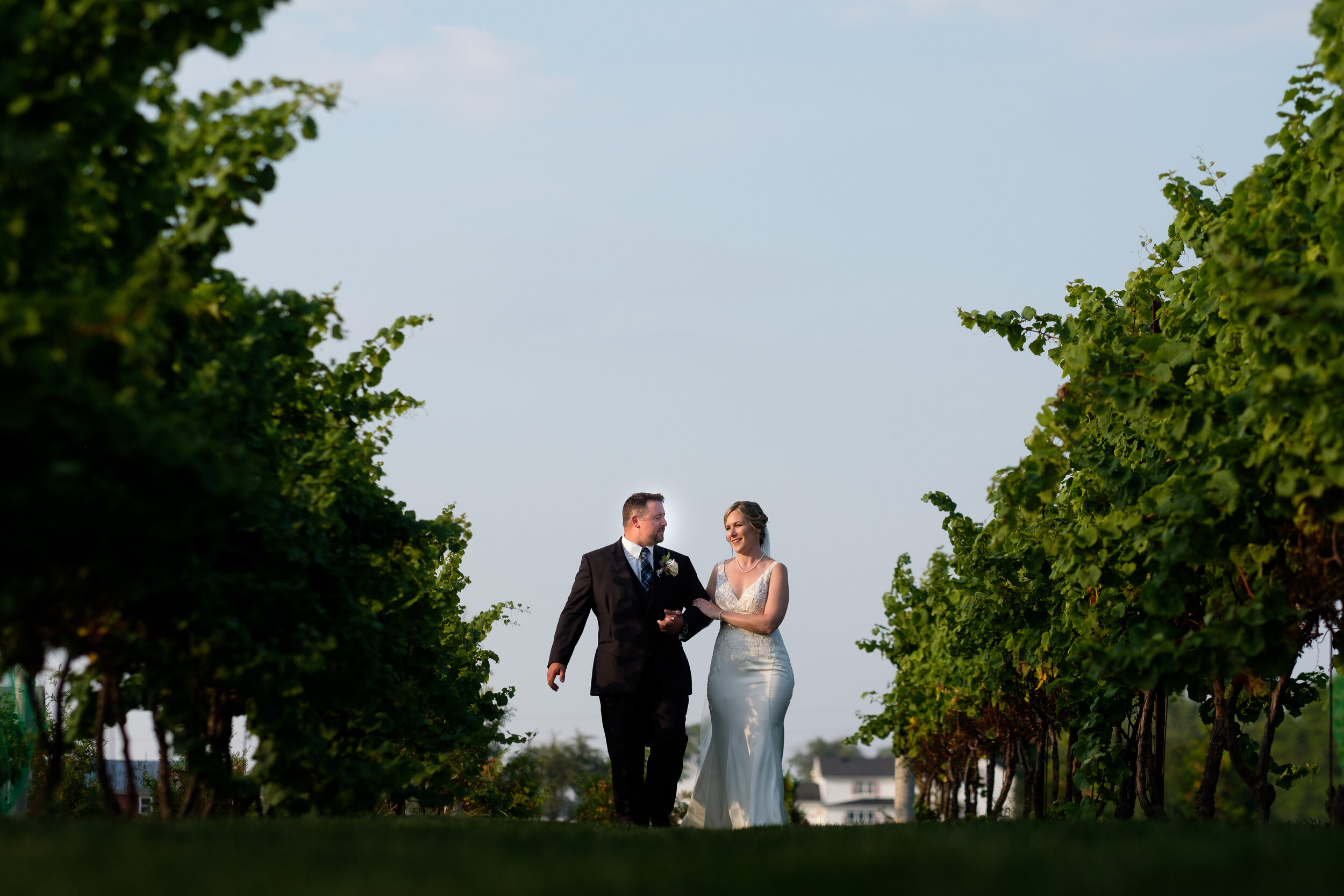  Amanda and Chad pose for some portraits in the vineyards at Hessenland Country Inn during their wedding by Scott Williams 