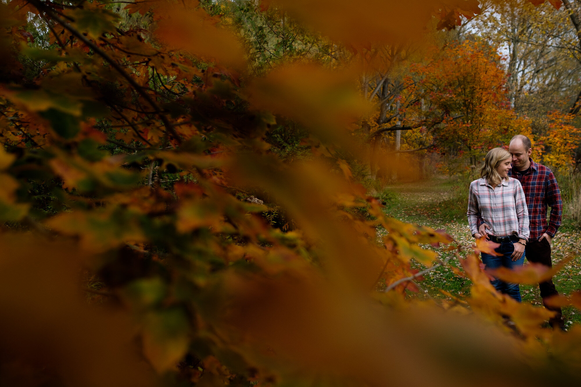  Lisa + Tyler pose for engagement pictures with beautiful fall colours at Lowville Park in Burlington, Ontario by Toronto wedding photographer Scott Williams. 