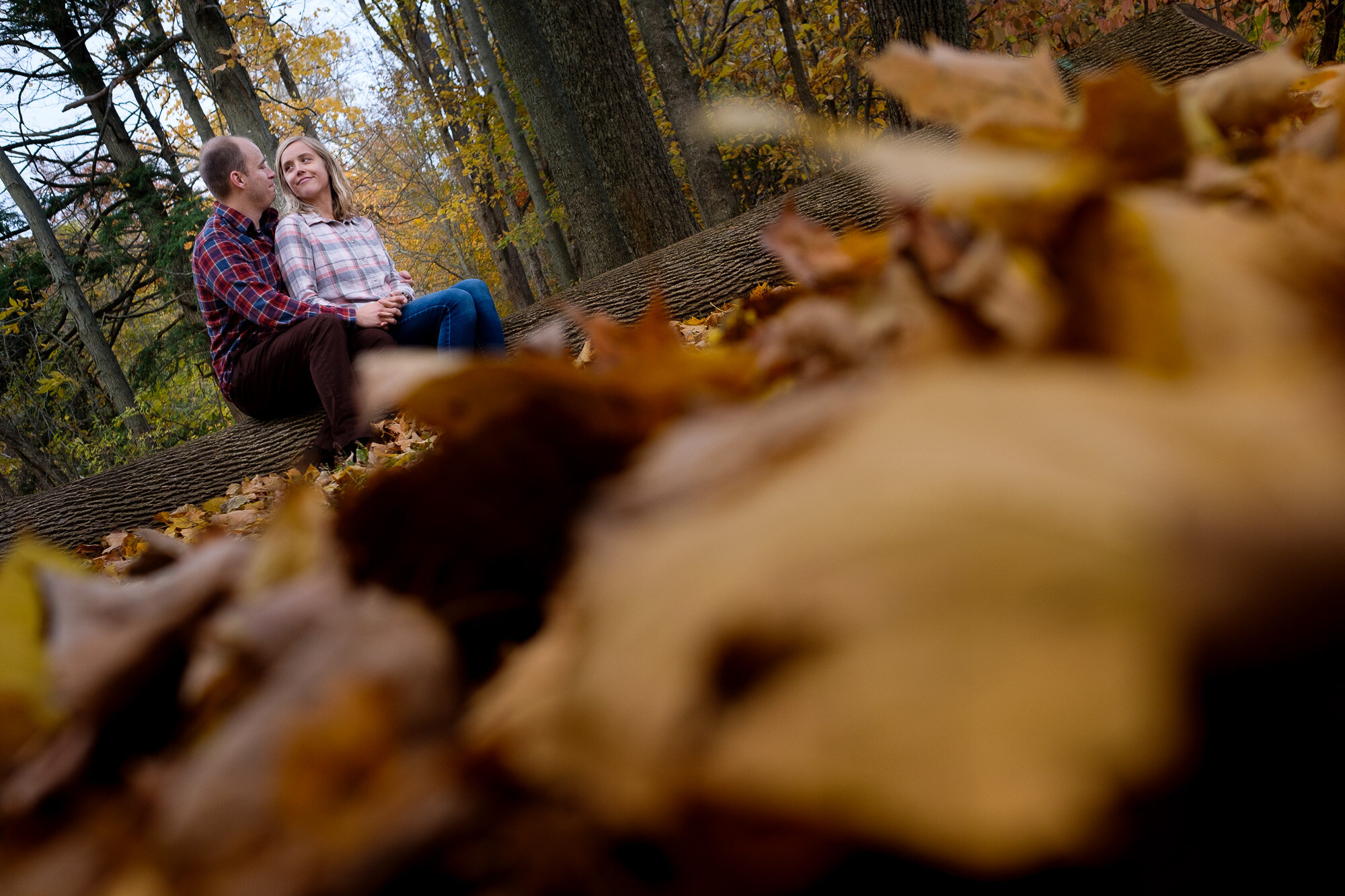  Lisa + Tyler pose for engagement pictures with beautiful fall colours at Lowville Park in Burlington, Ontario by Toronto wedding photographer Scott Williams. 