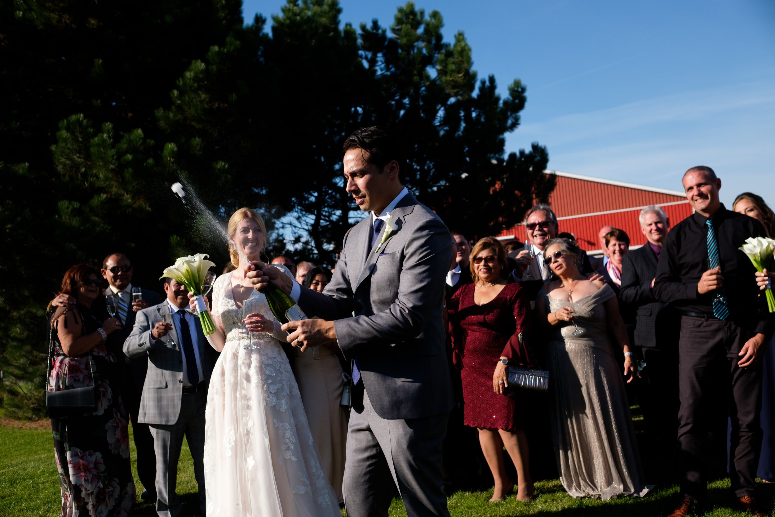  A candid colour wedding photograph after the outdoor wedding ceremony as Antony pops the champagne as the guests look on at  Cassandra and Antony’s wedding at the Hessenland Inn by Toronto wedding photographer Scott Williams. 