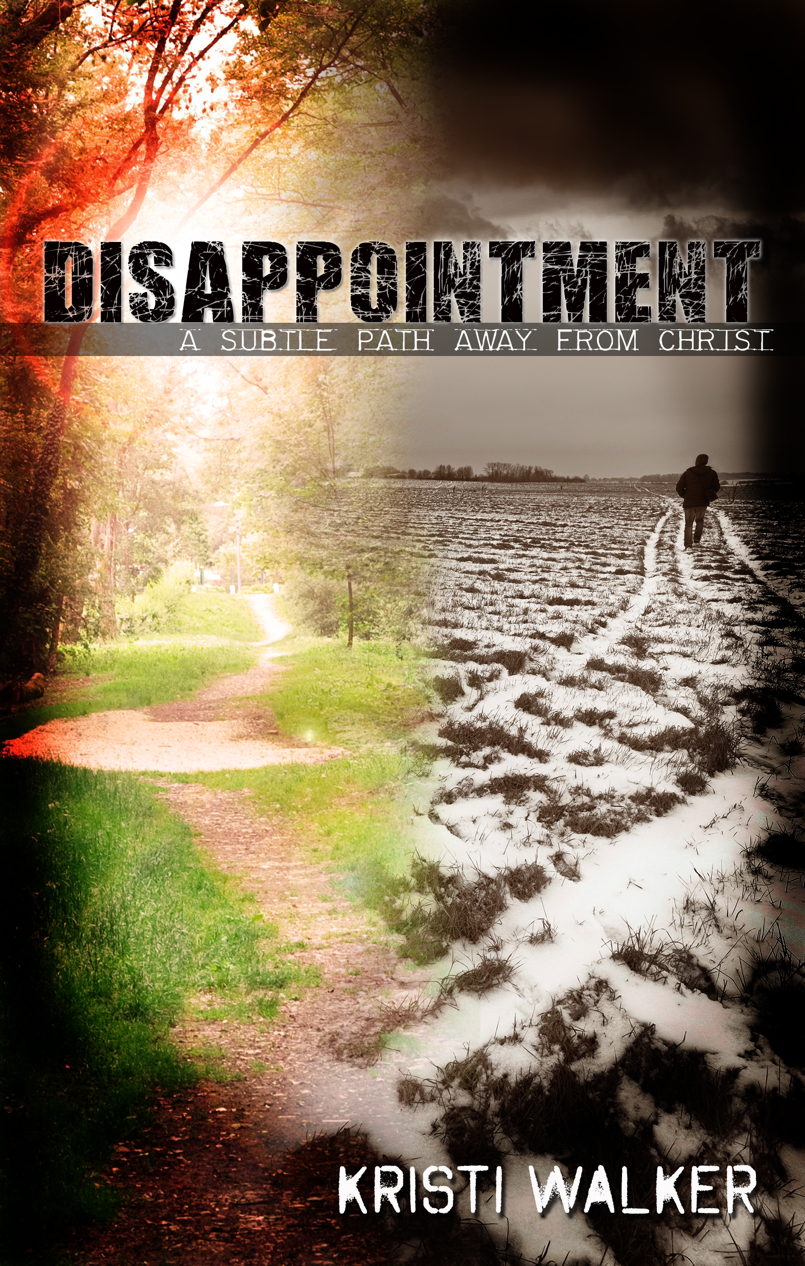 Disappointment: by Kristi Walker