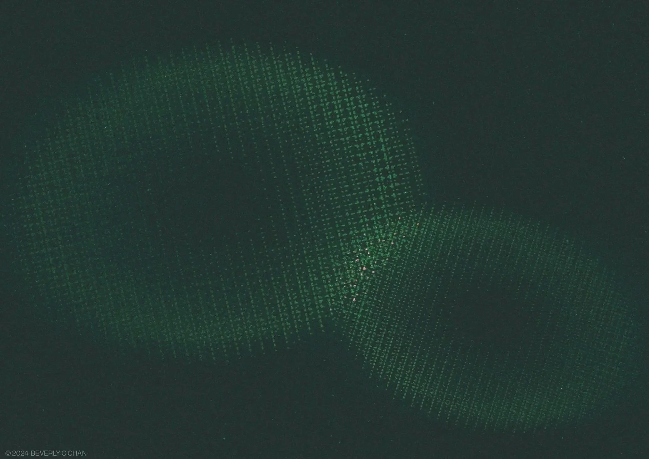 BCC_DF_Nepantleras02.jpg