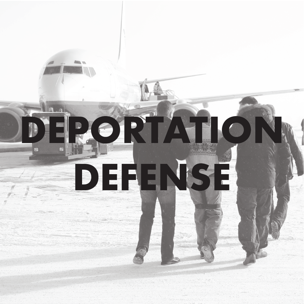 Deportation Defense