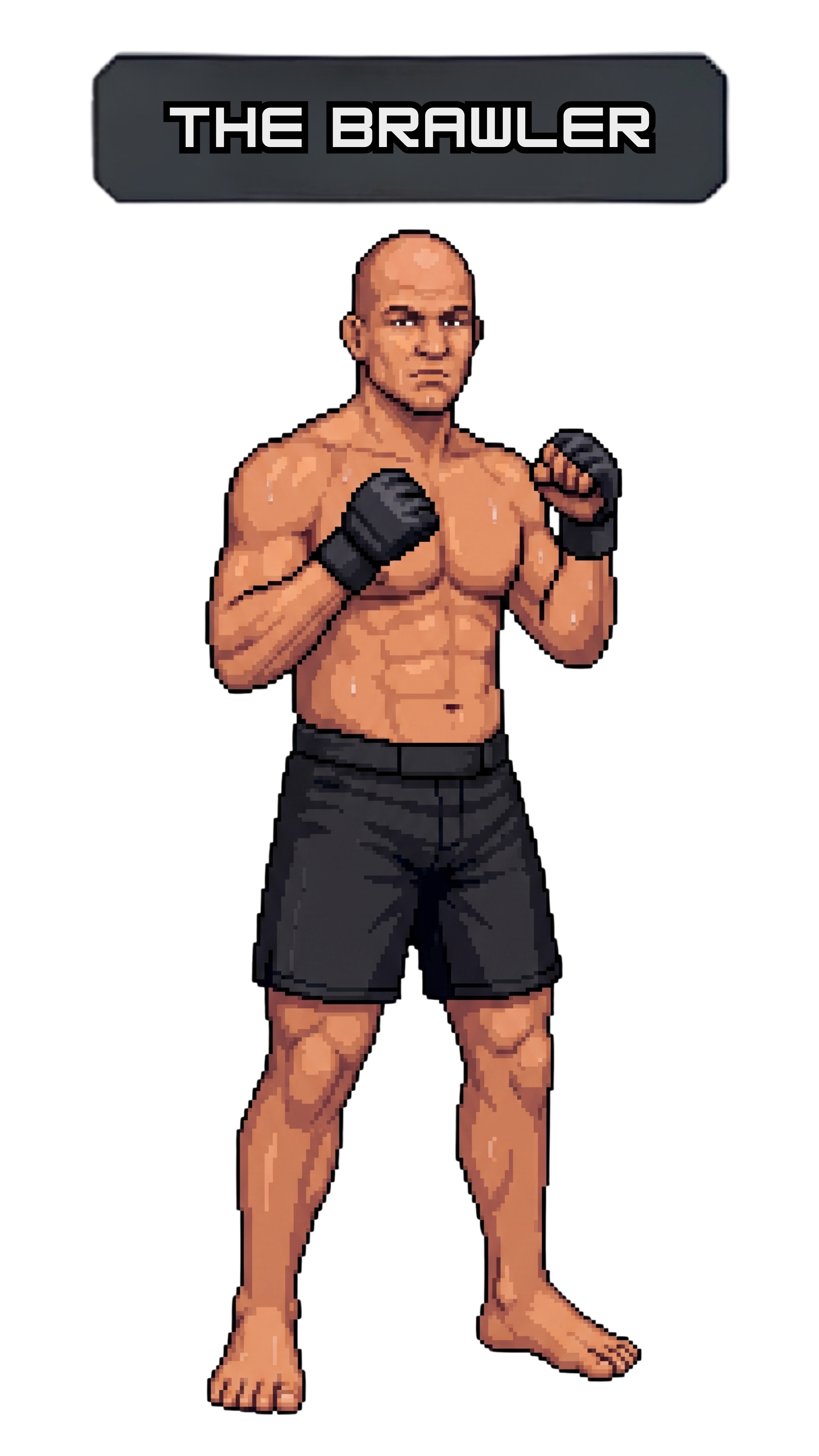 THE BRAWLER - FULL BODY PROFILE.png