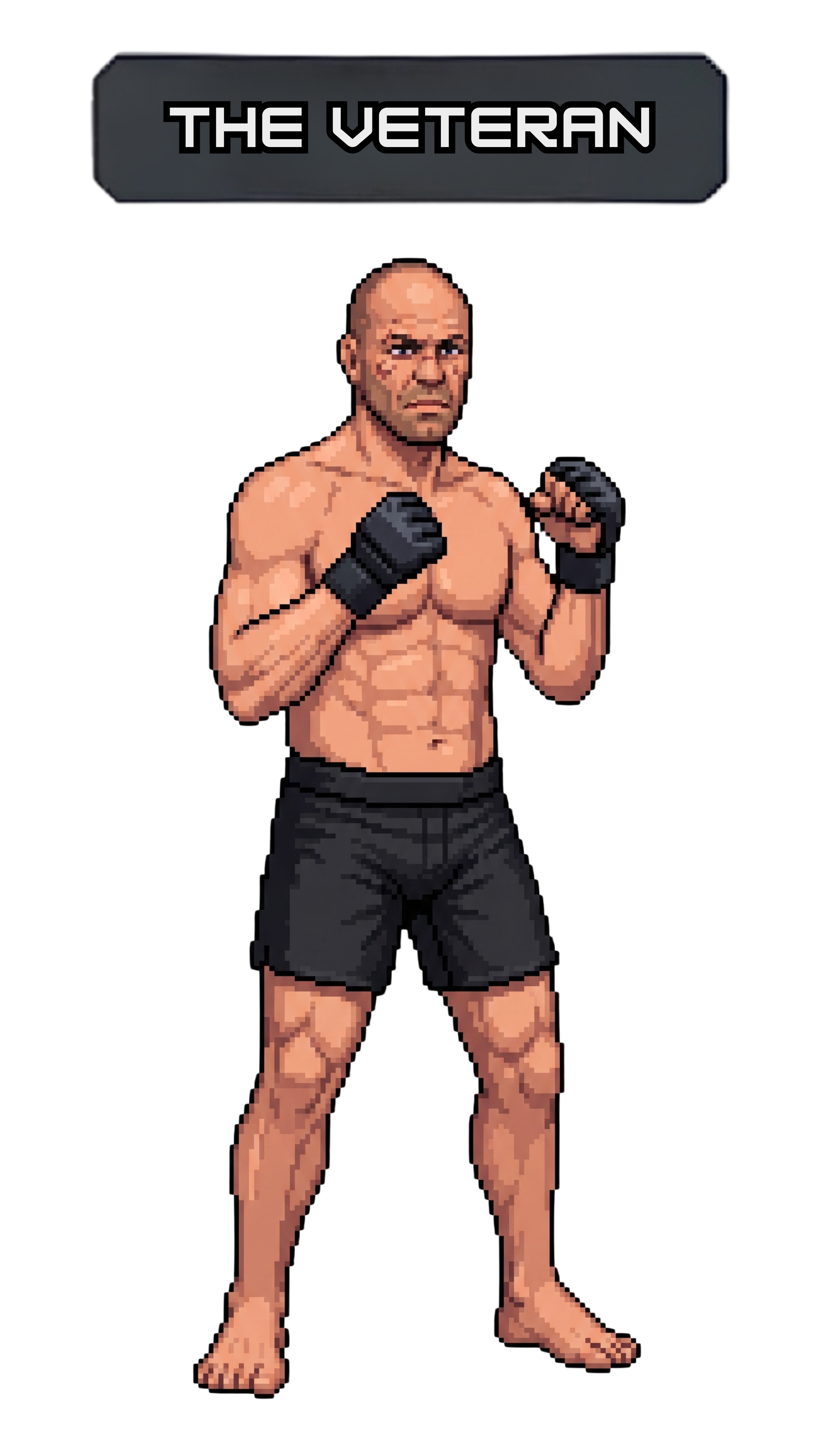 THE VETERAN - FULL BODY PROFILE.png