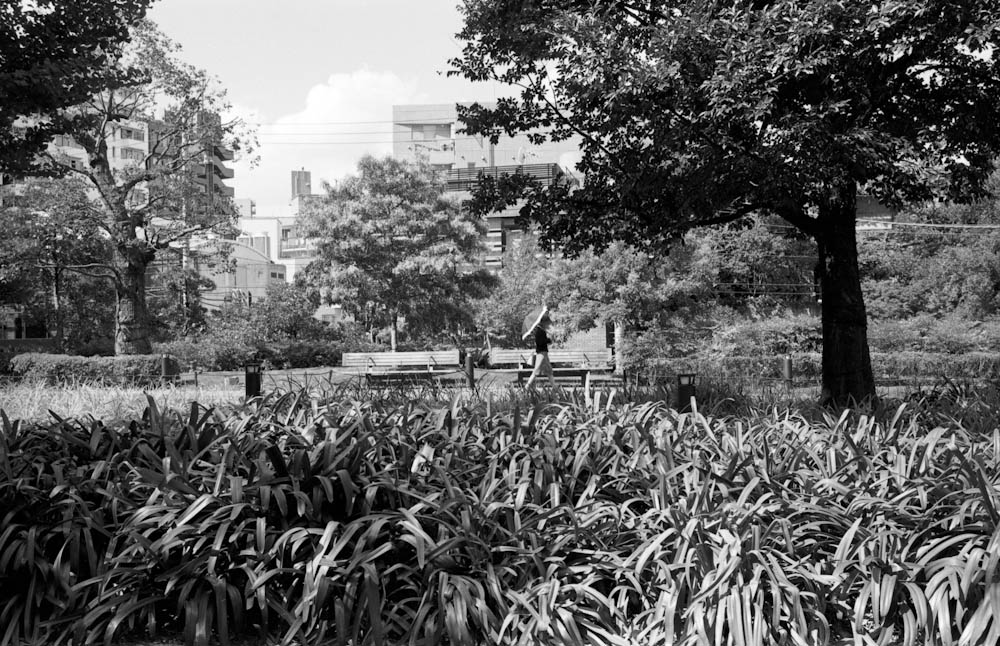 Roppongi (Tokyo Midtown), Tokyo - I focused here on the person with the umbrella.