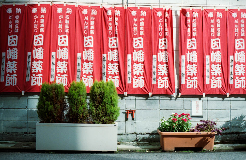 Despite heavy typhoon rains and wind, the next day we were greeted by sun.