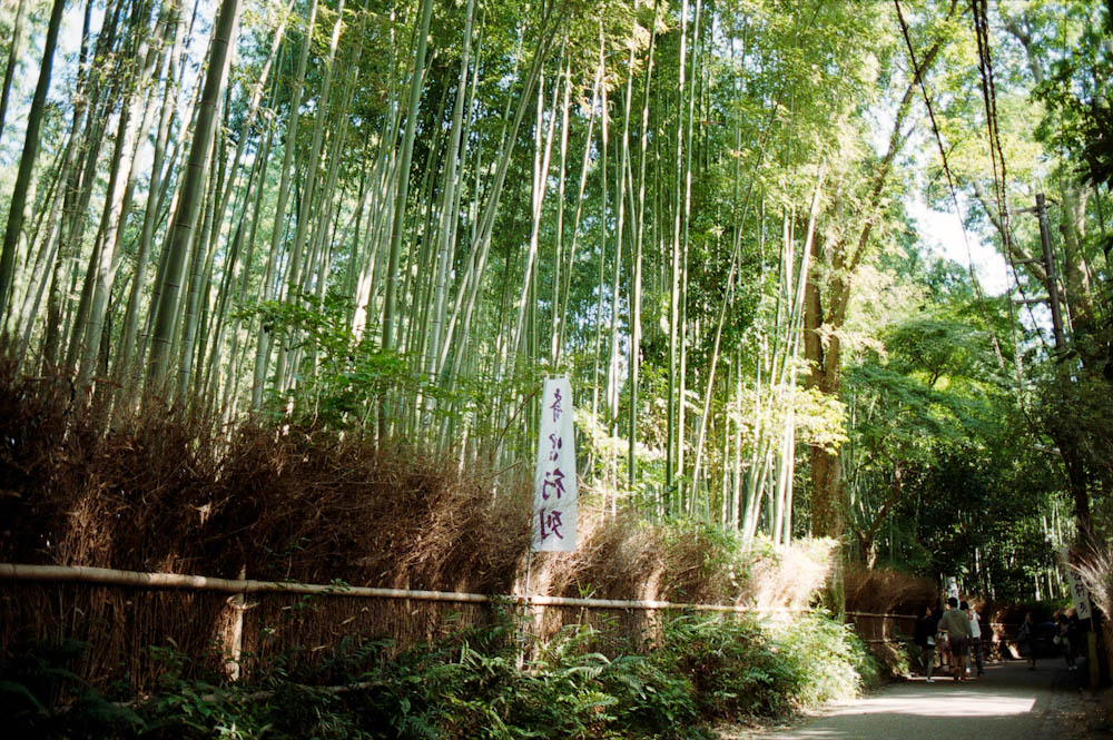 In the Arashiyama area just outside of Kyoto, there is a bamboo forest.