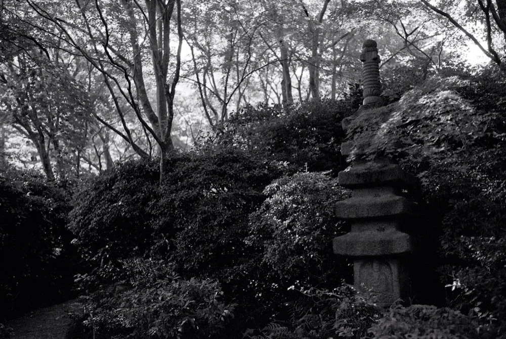 Amidst the beautiful nature in Okouchi Sanso, there were occasional shrines and temple areas.