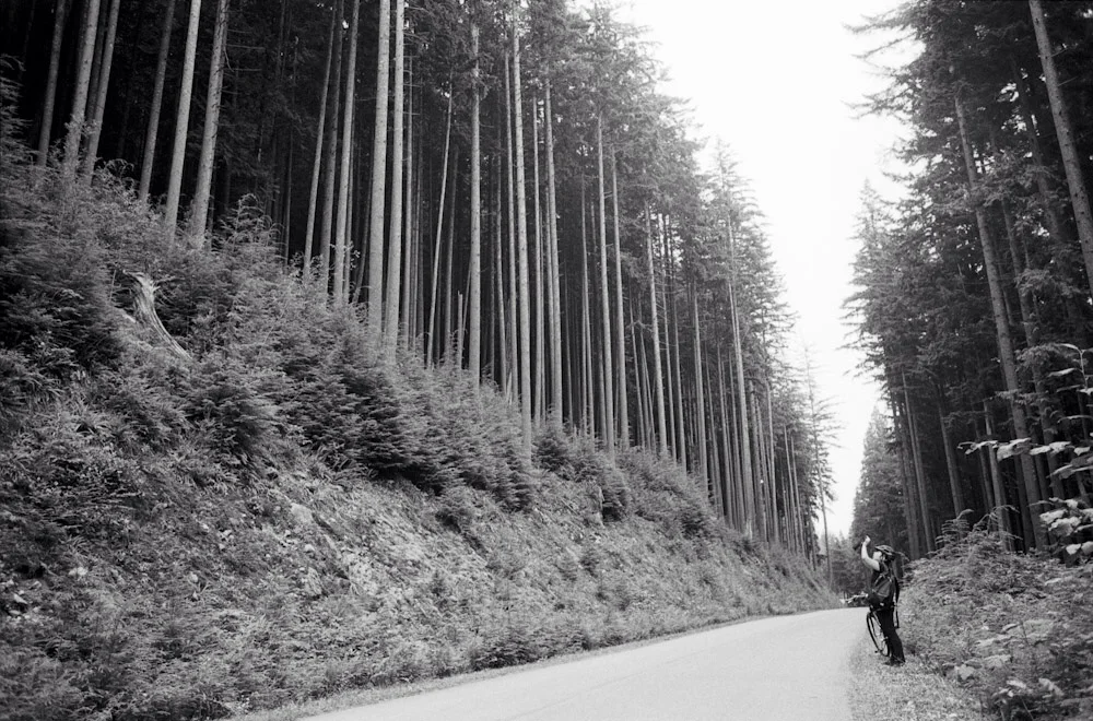 Seymour Conservation Trail is located in North Vancouver. My wife and I didn't do a ton of biking this year but when we did, it was a lot of fun and physically challenging.