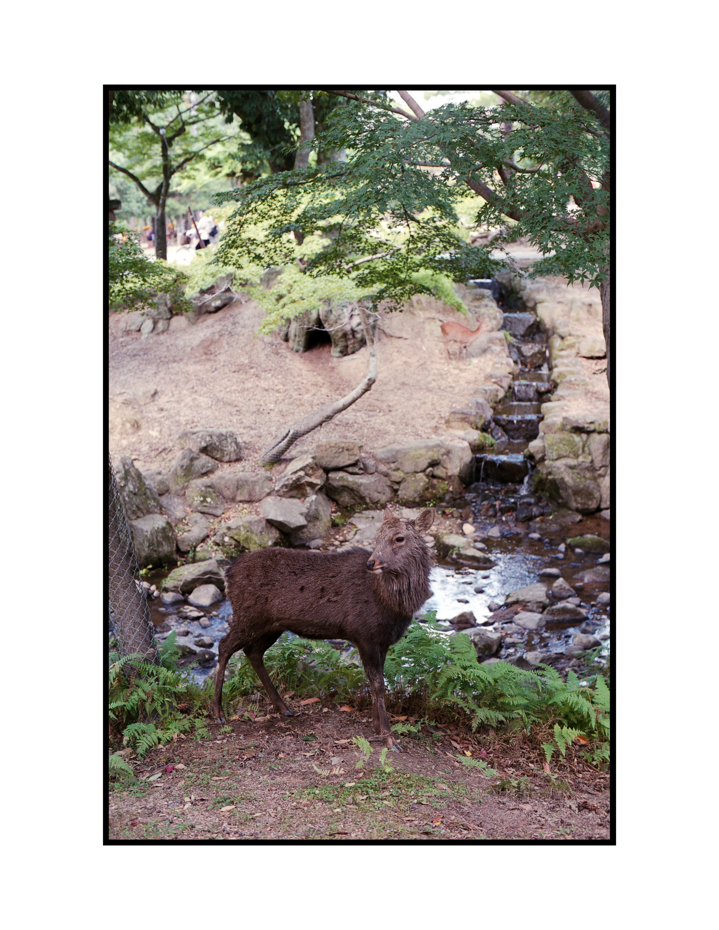 Resulting image