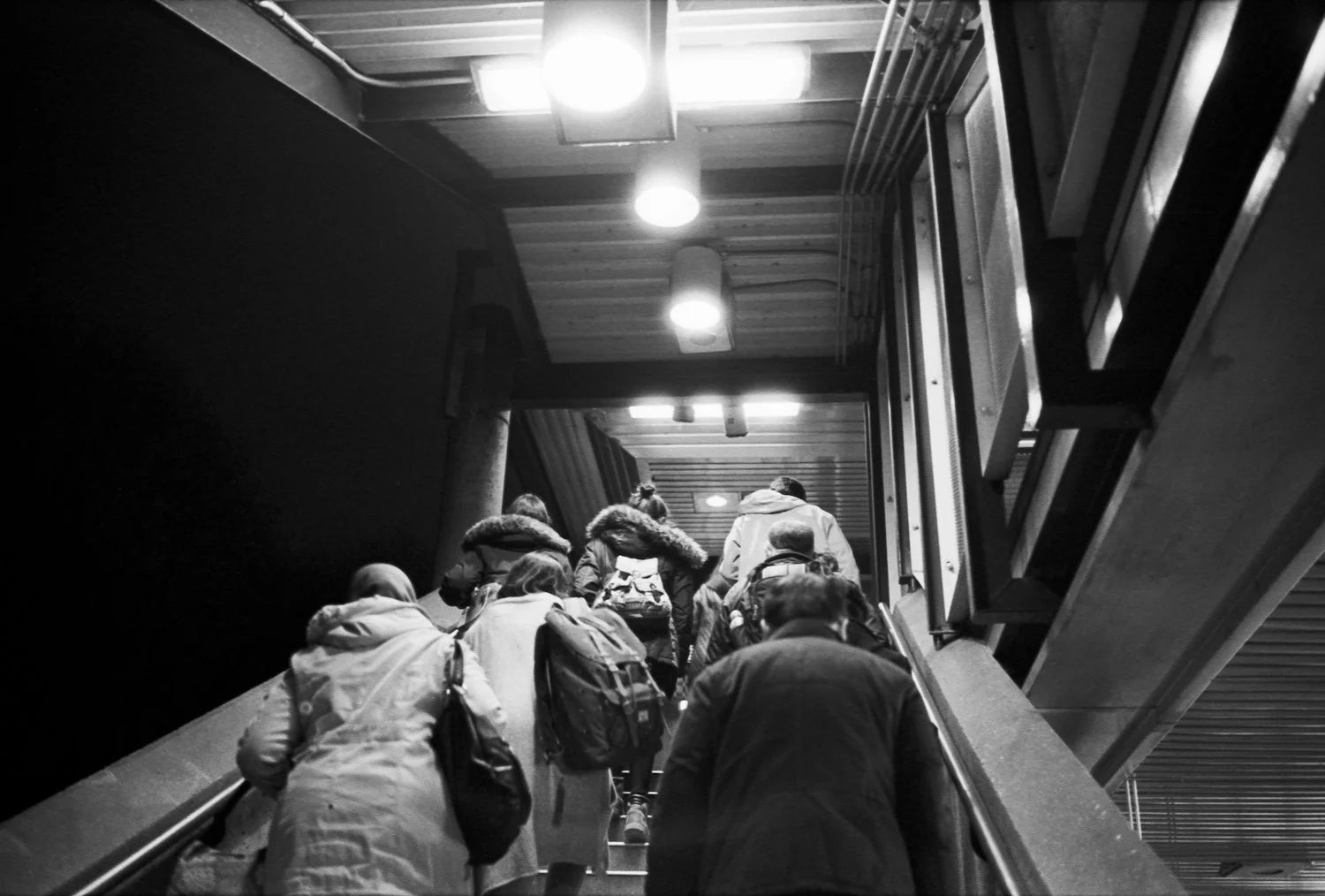 I always find myself looking down at the steps when I'm making my way up them. This time I looked up.