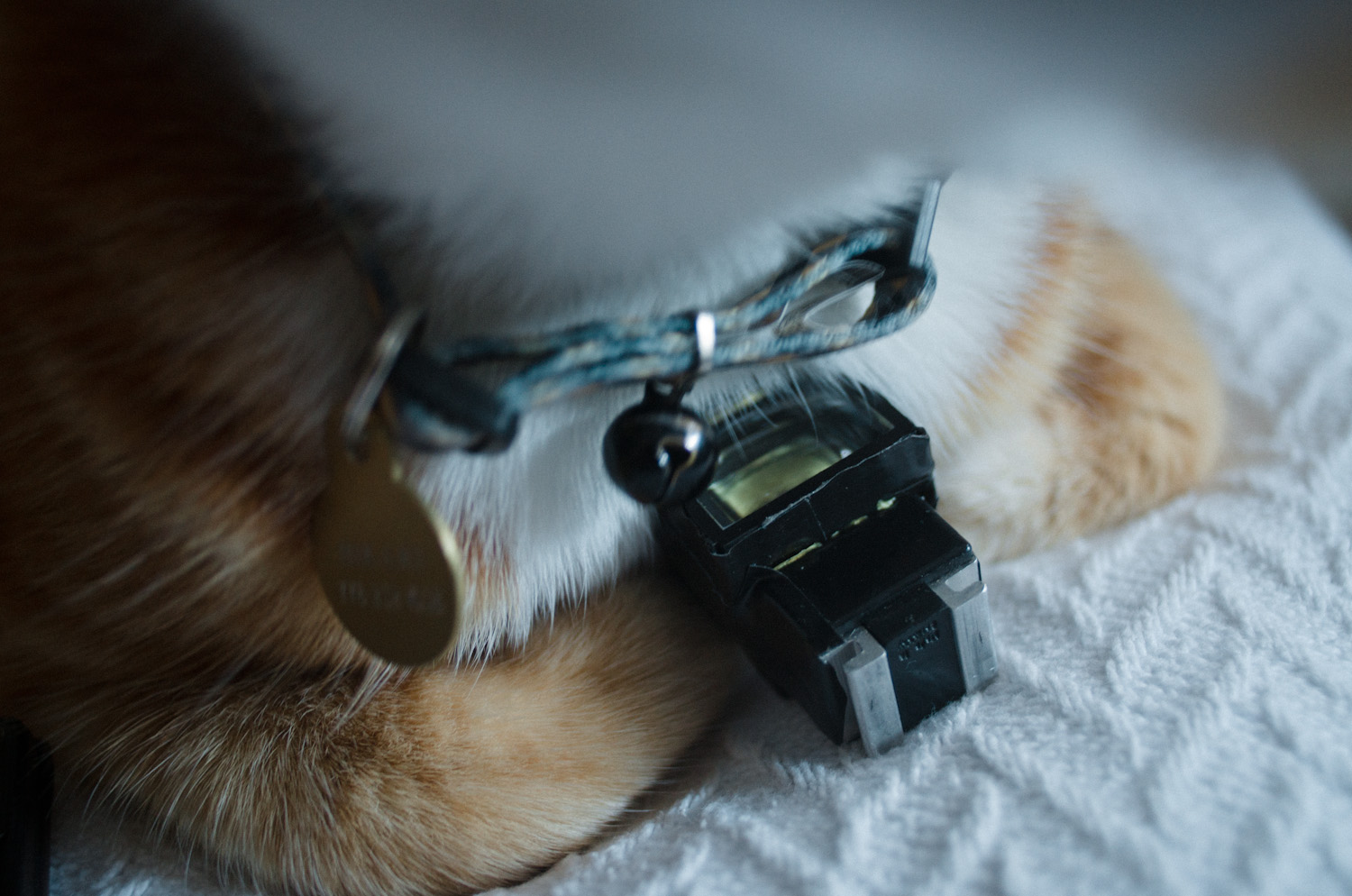This viewfinder is Hikari-The-Cat-approved.