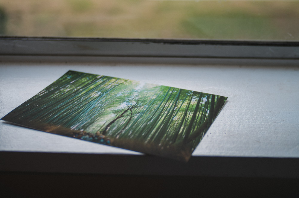 I've seen this image of Arashiyama Bamboo Forest a million times on my screen. Then I saw it as this print and was like ... "Wow."