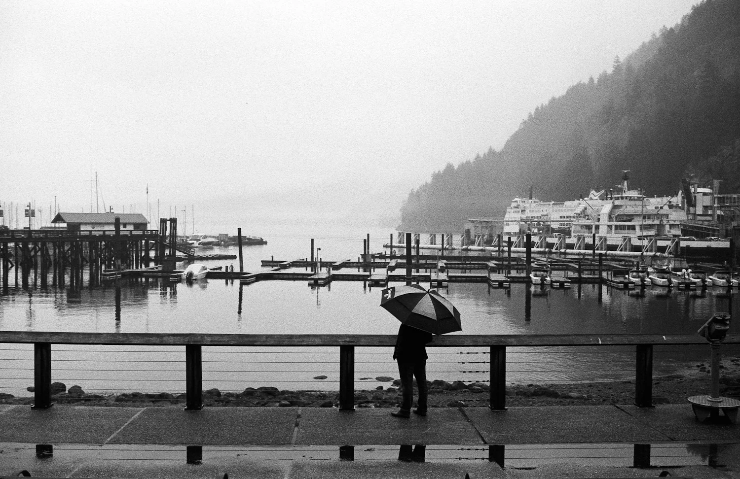 Lighthouse-Park-Vancouver-17.jpg
