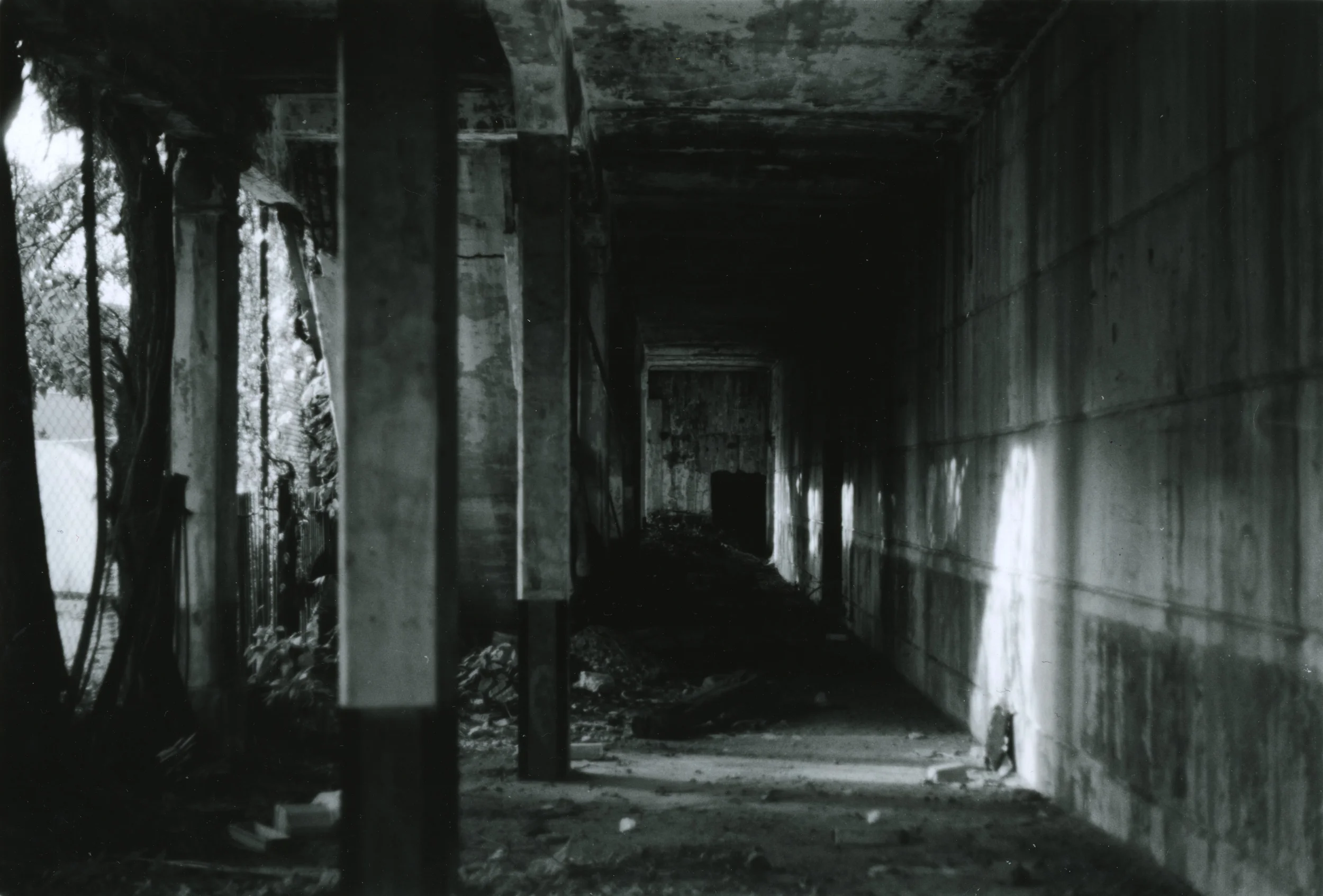 img004.jpg