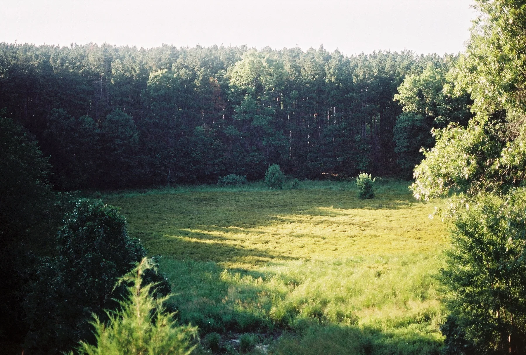 R1-02137-0064.jpg