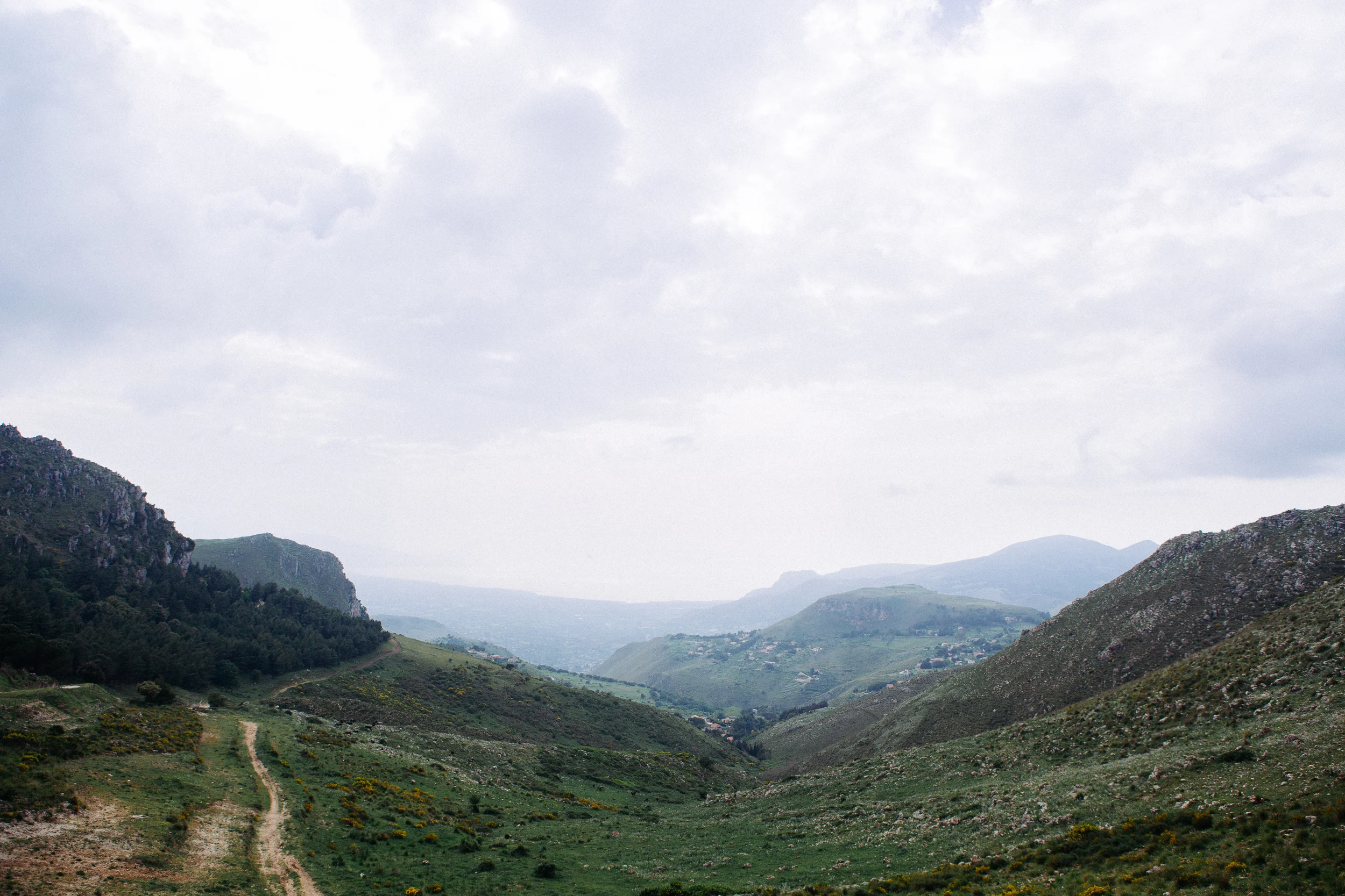 P41A7238.jpg