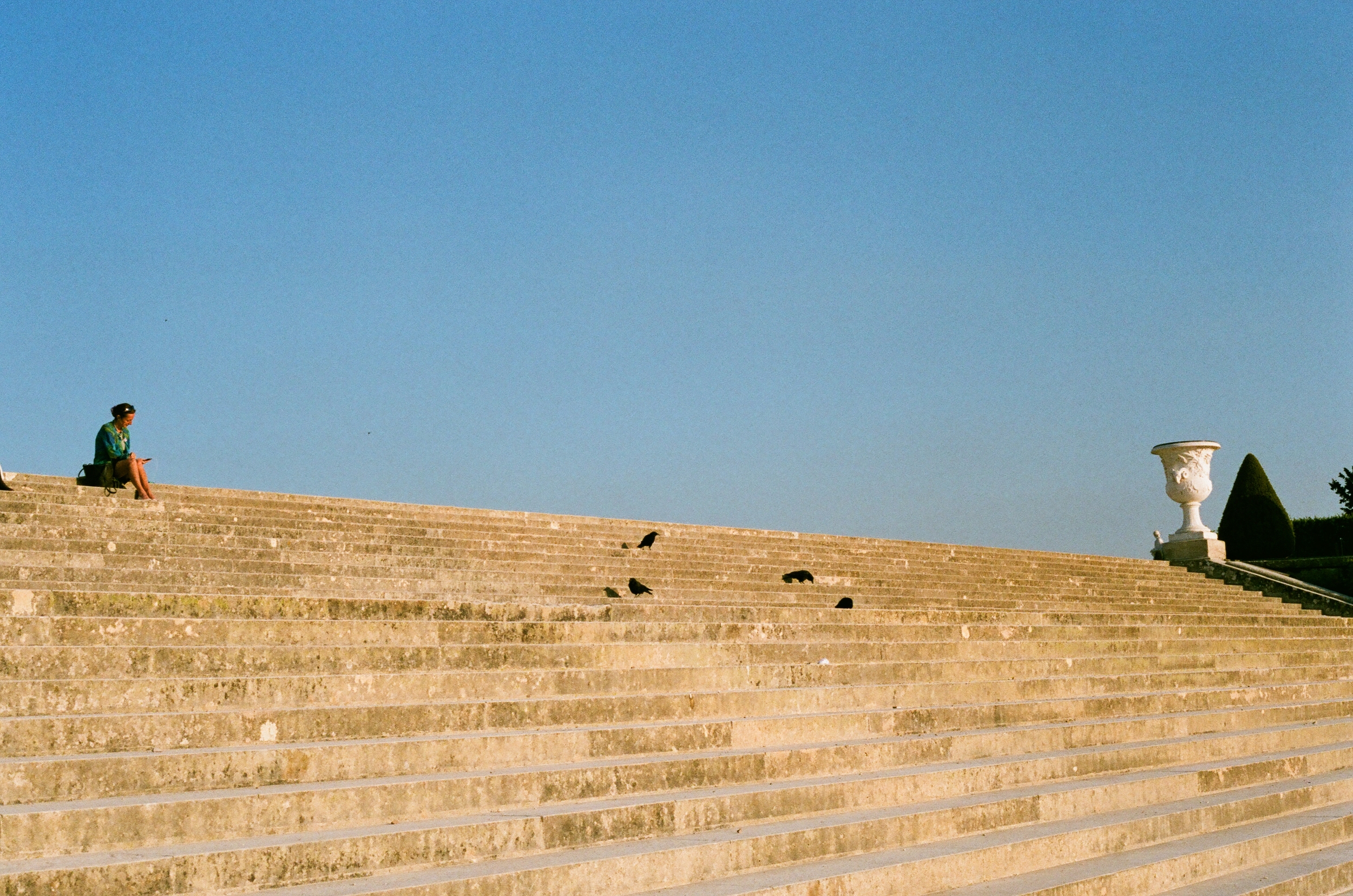 34640011.jpg