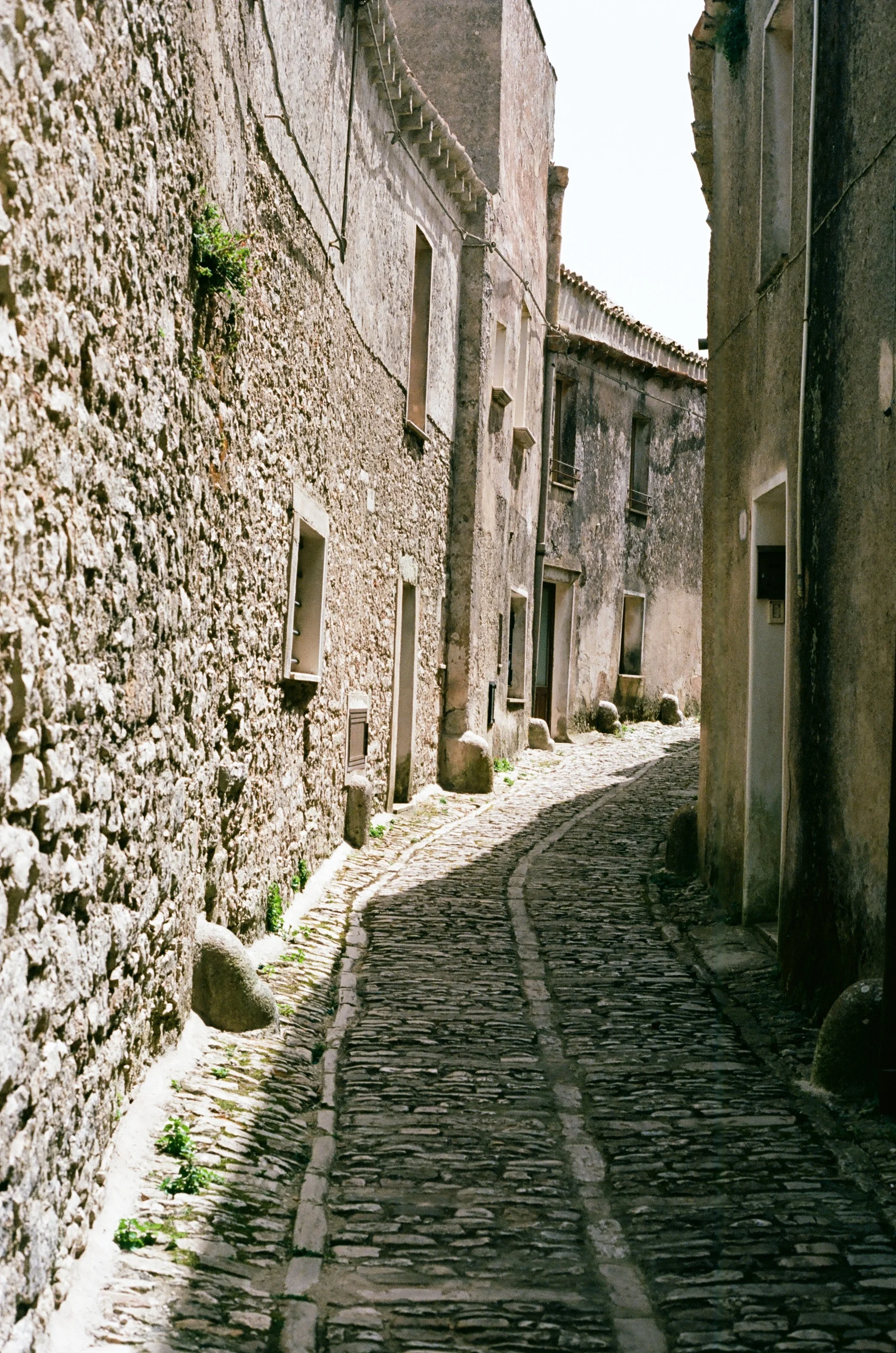 37950011.jpg