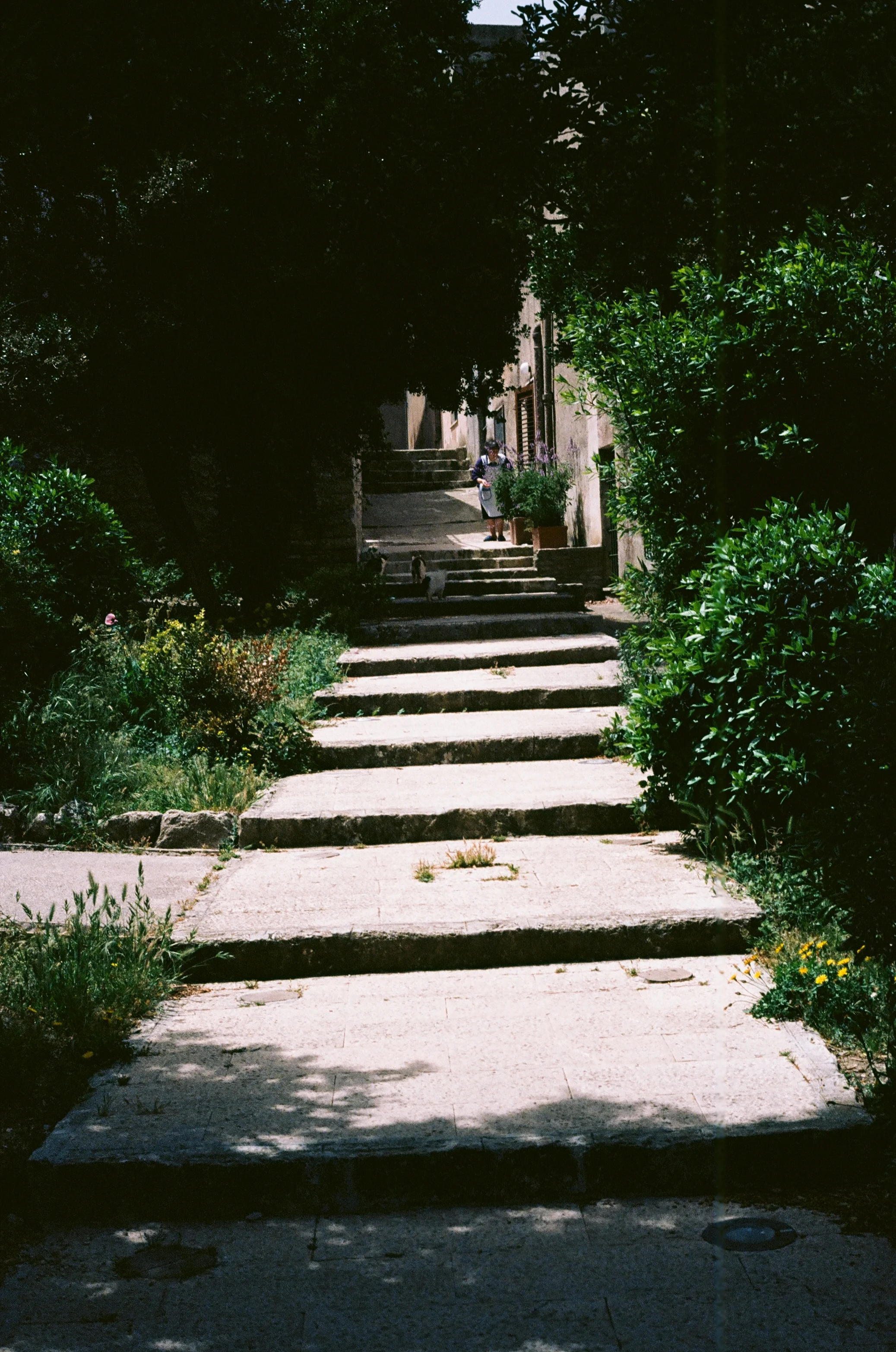 37950020.jpg