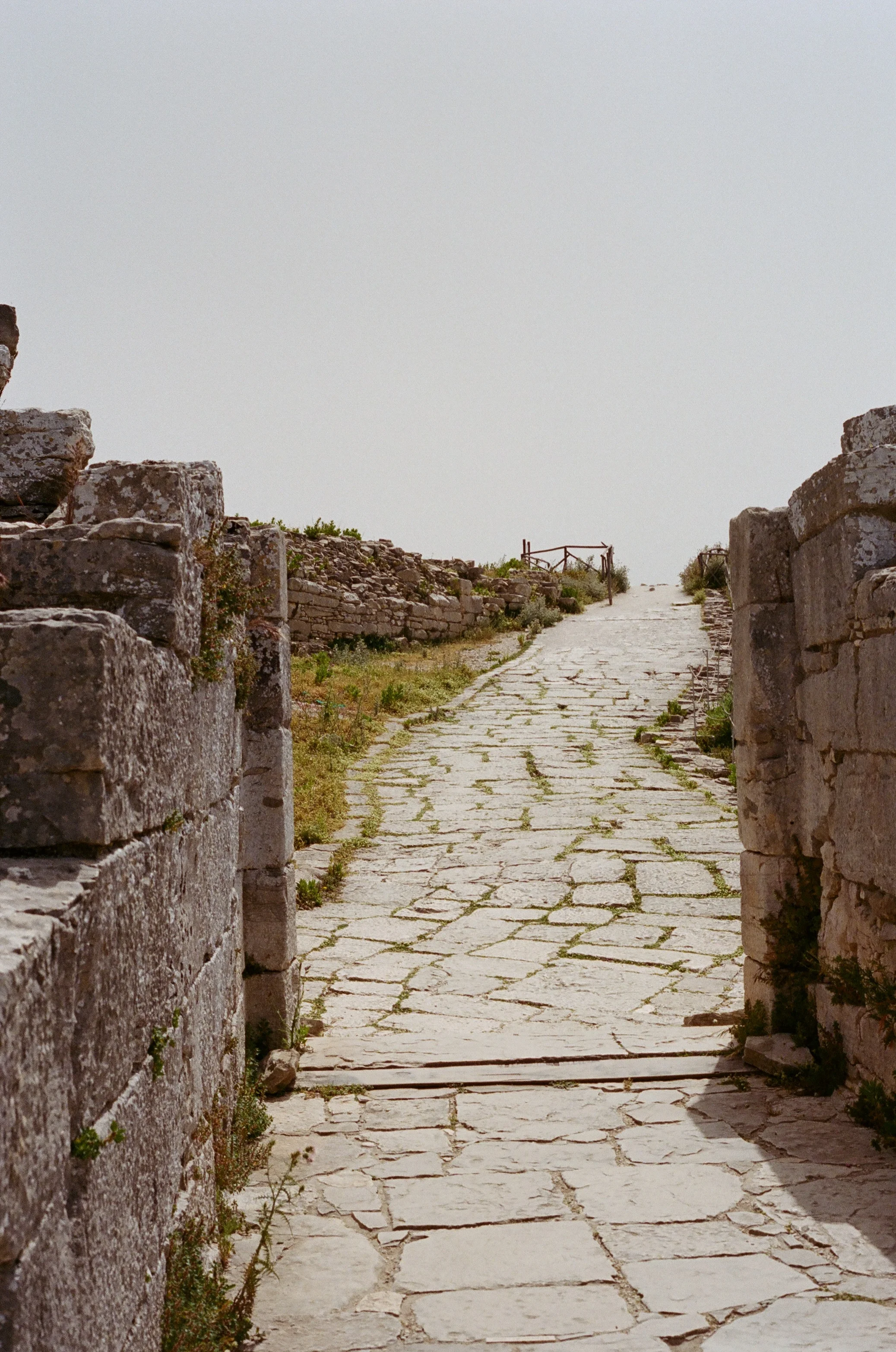 40160021.jpg