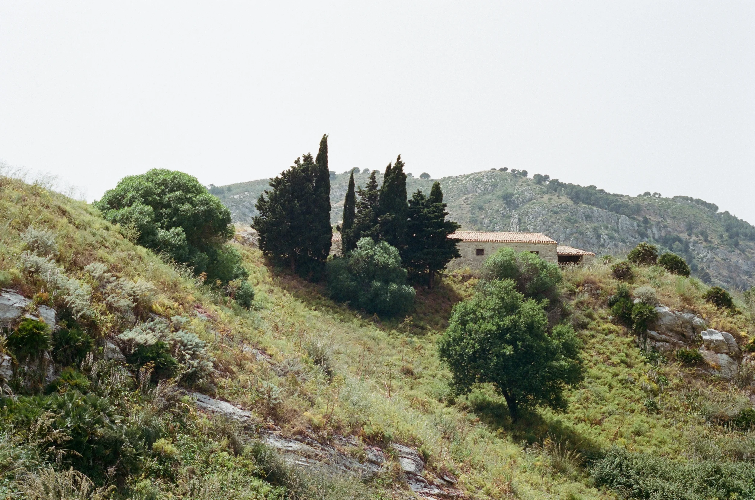 40160006.jpg