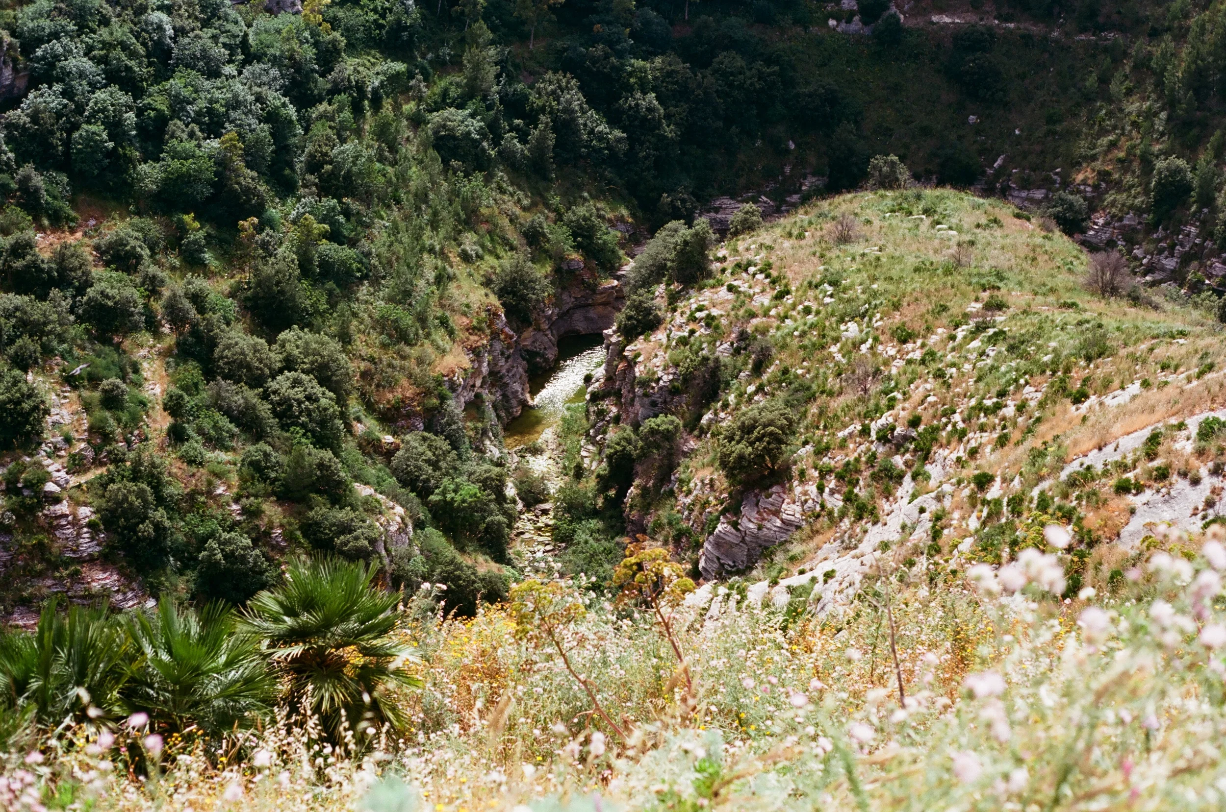 40170027.jpg