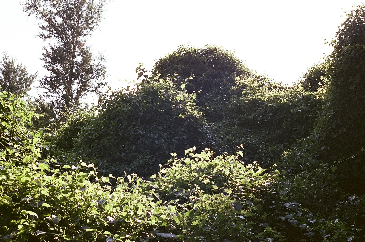 85730003.JPG