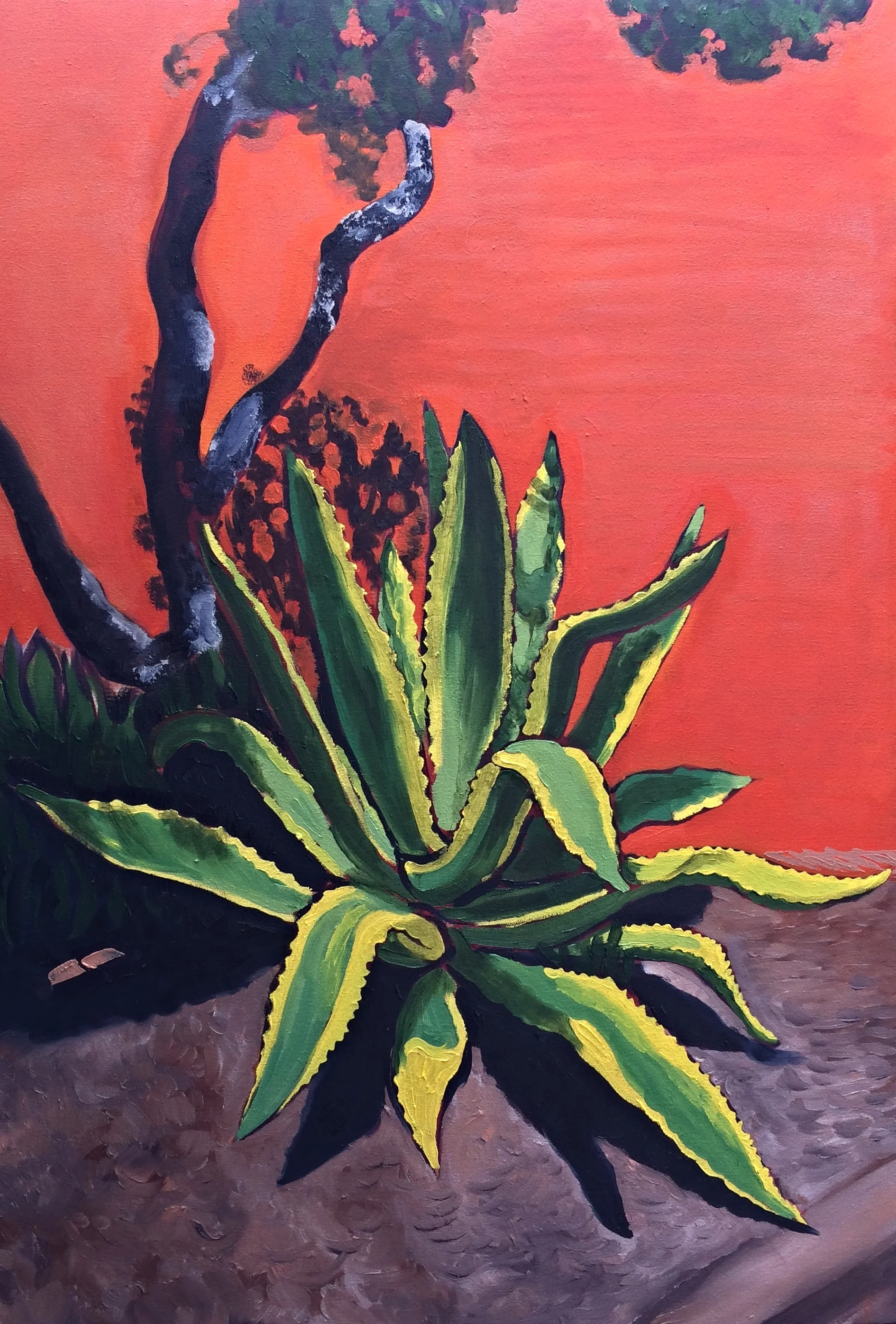 Succulent 