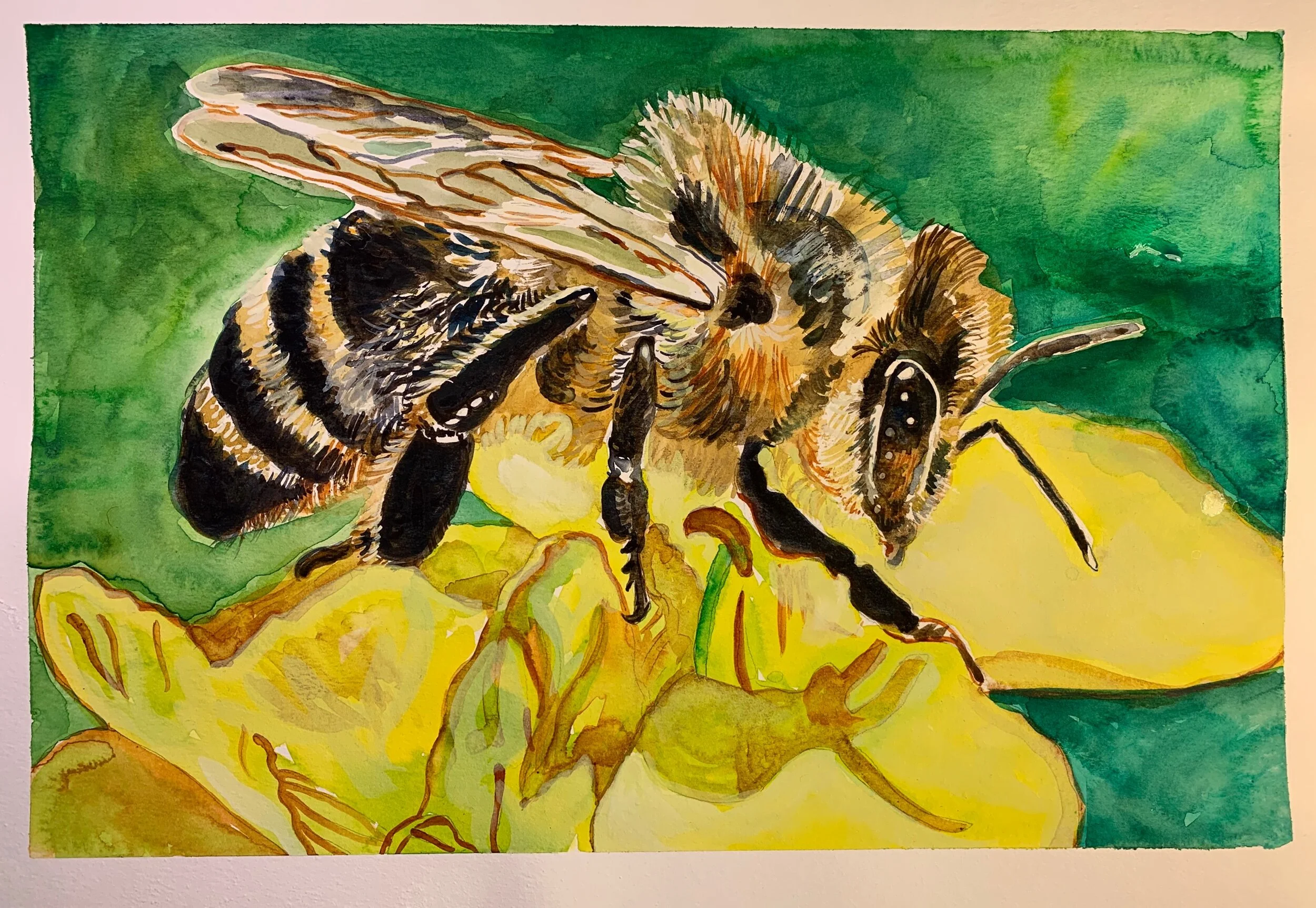 A Bee for B
