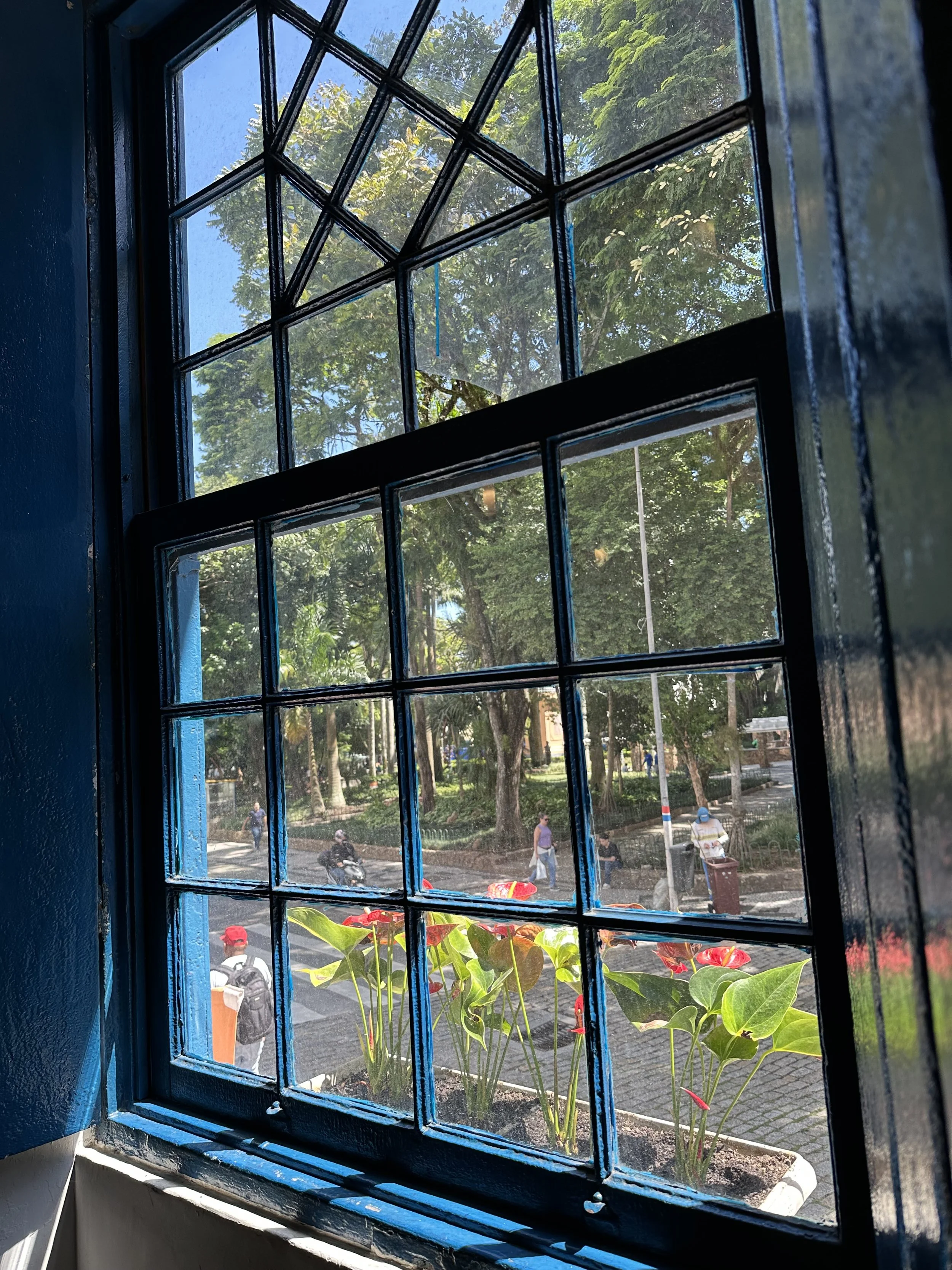 IMG_8283.jpeg