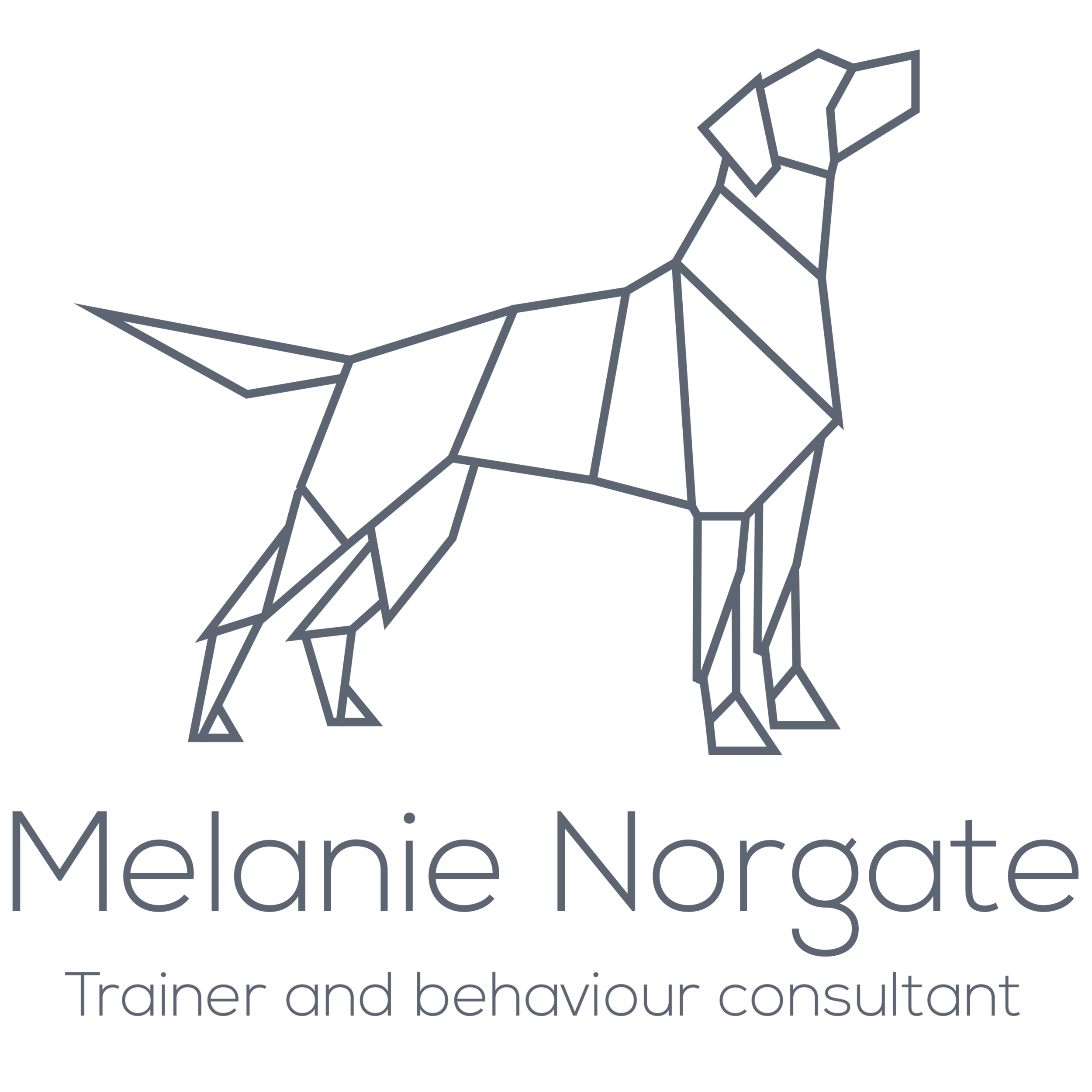Melanie Norgate