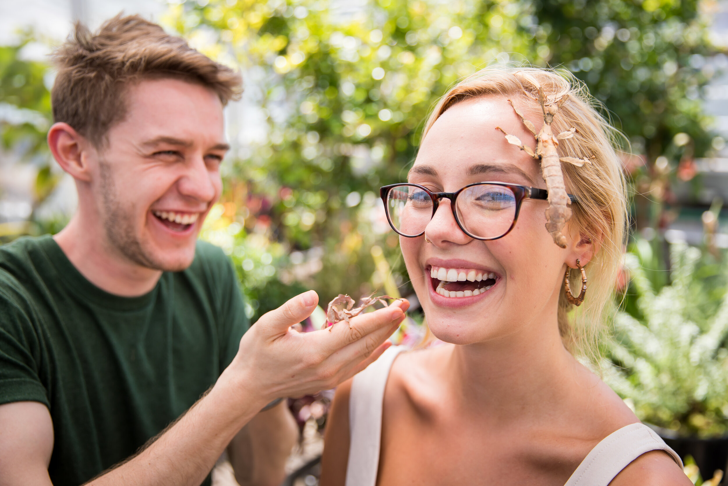 003_050_UNSW_Science_BEES_Glasshouse_credit-Anna_Kucera.jpg