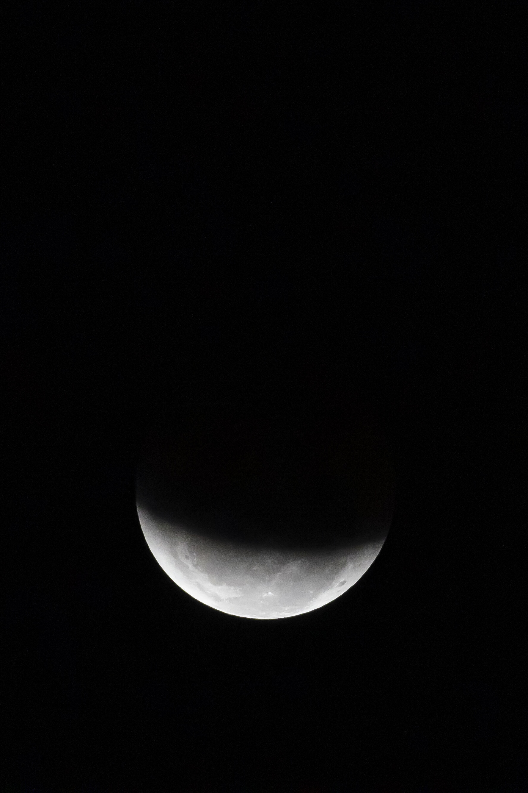 010_Blood_Moon_Sydney_Observatory_credit_Anna_Kucera-2.jpg