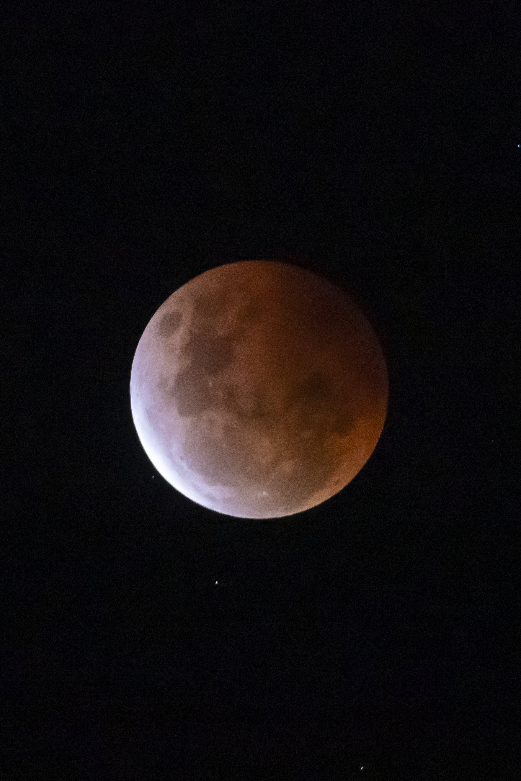 005_Blood_Moon_Sydney_Observatory_credit_Anna_Kucera.jpg