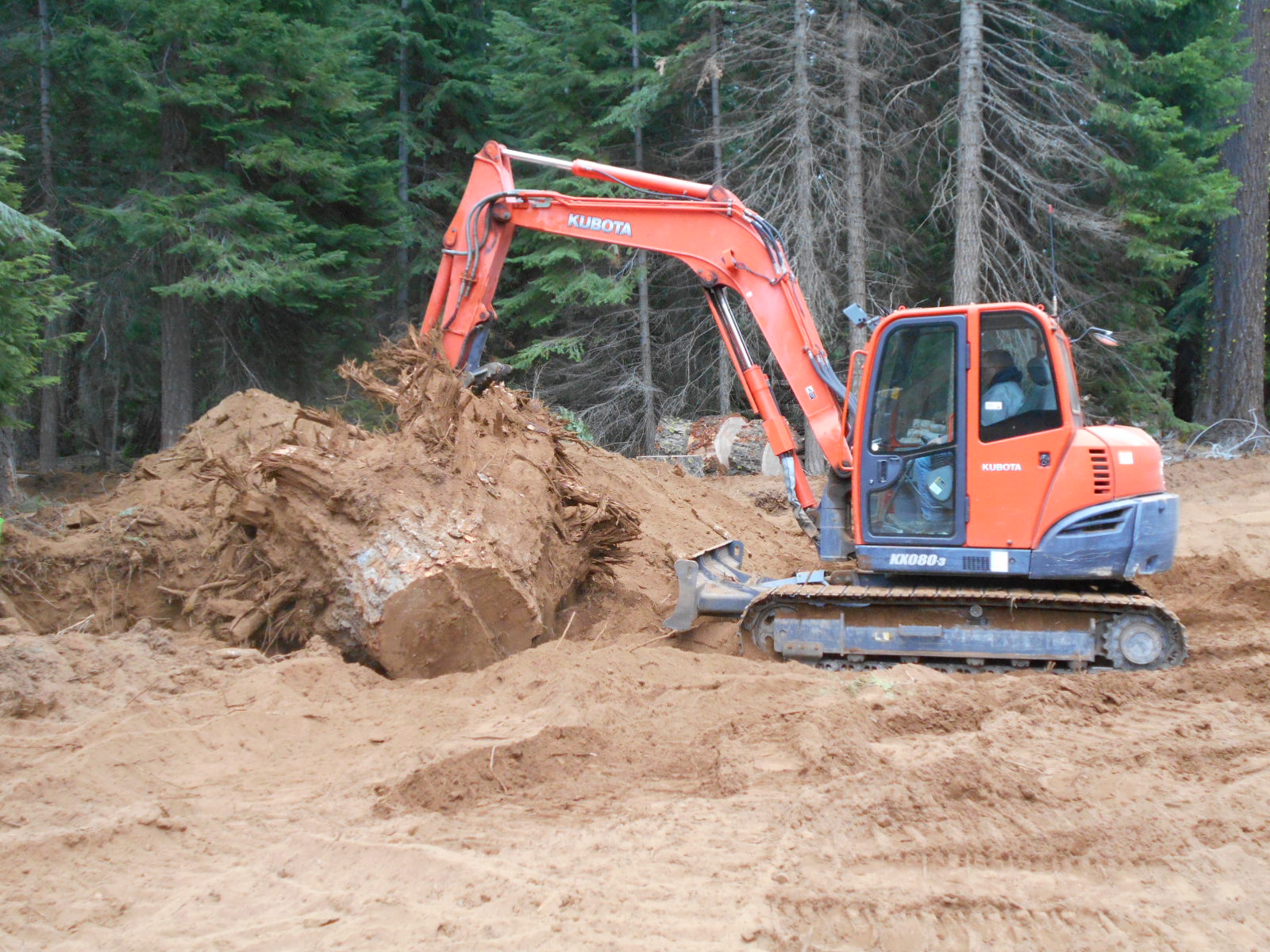 Tree removal for the new KBSD Snocat Shelter